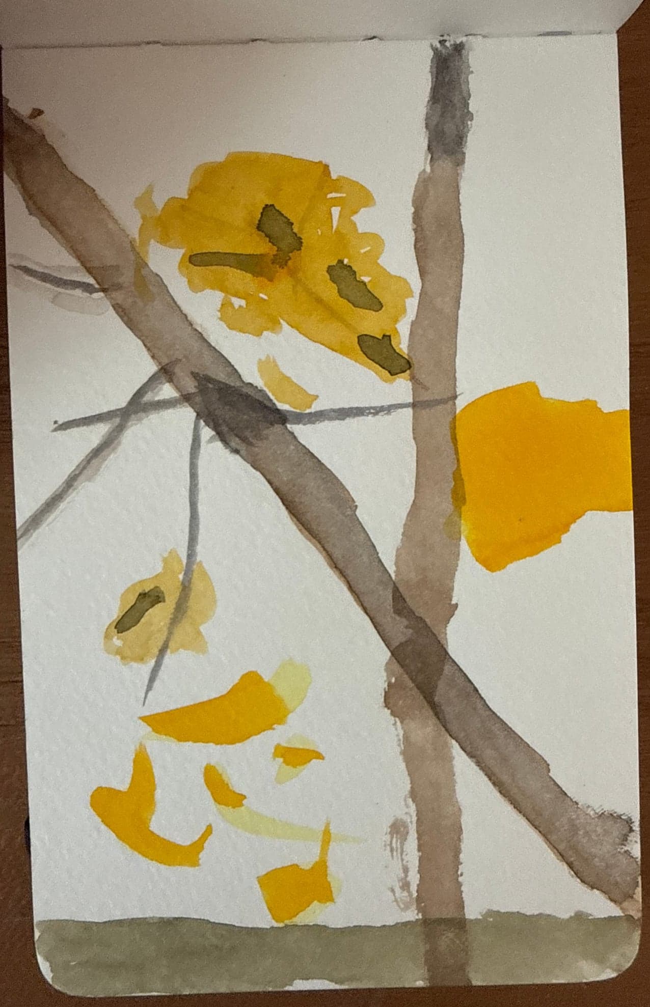 Aquarelle — 2018 2