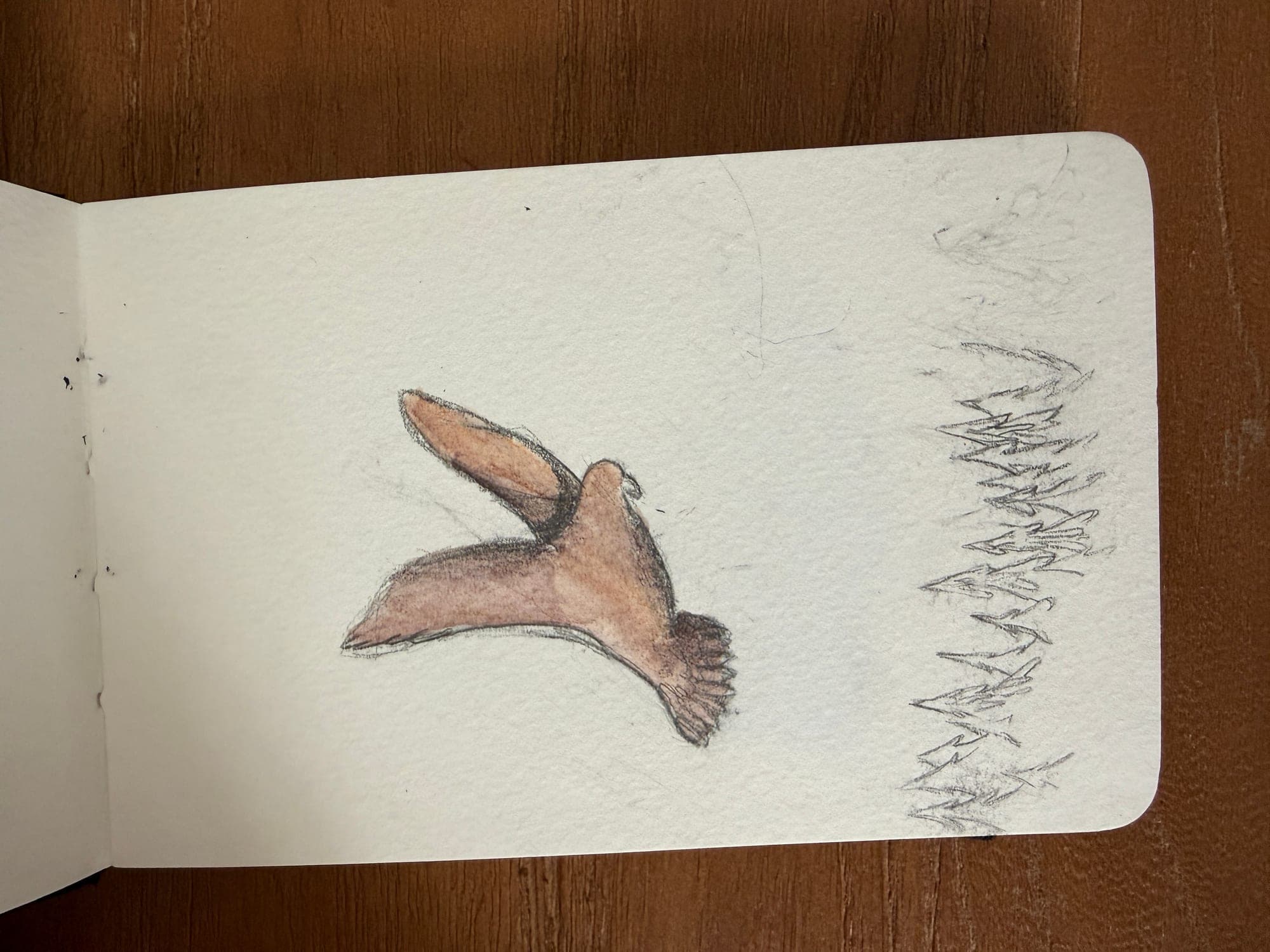Aquarelle — sheet 2