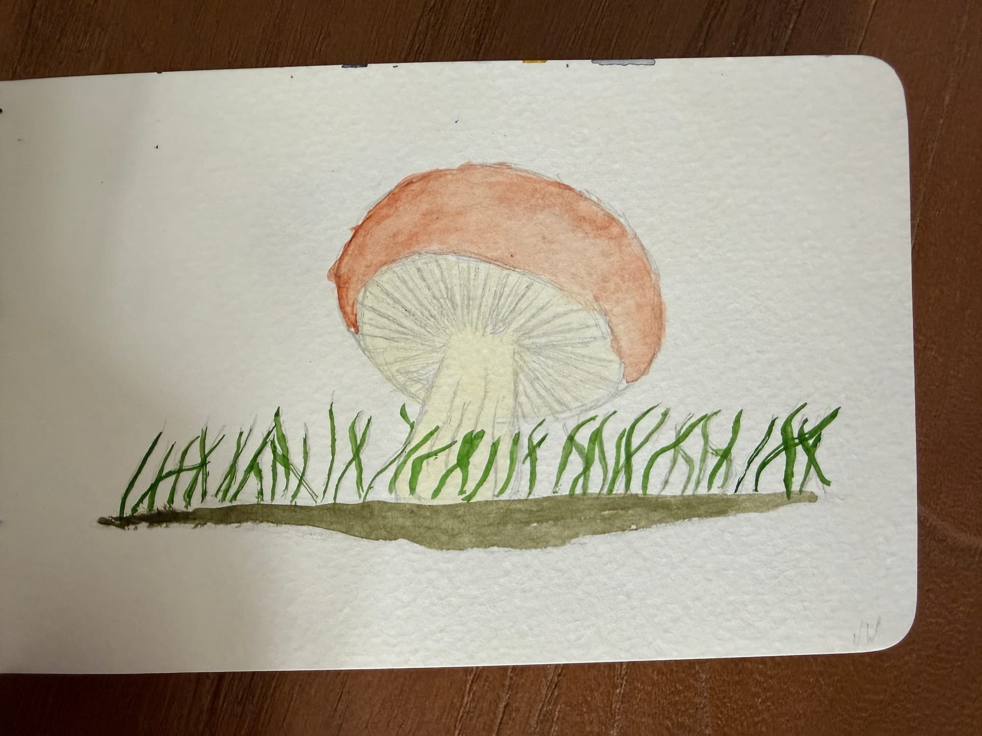 Aquarelle — sheet 4