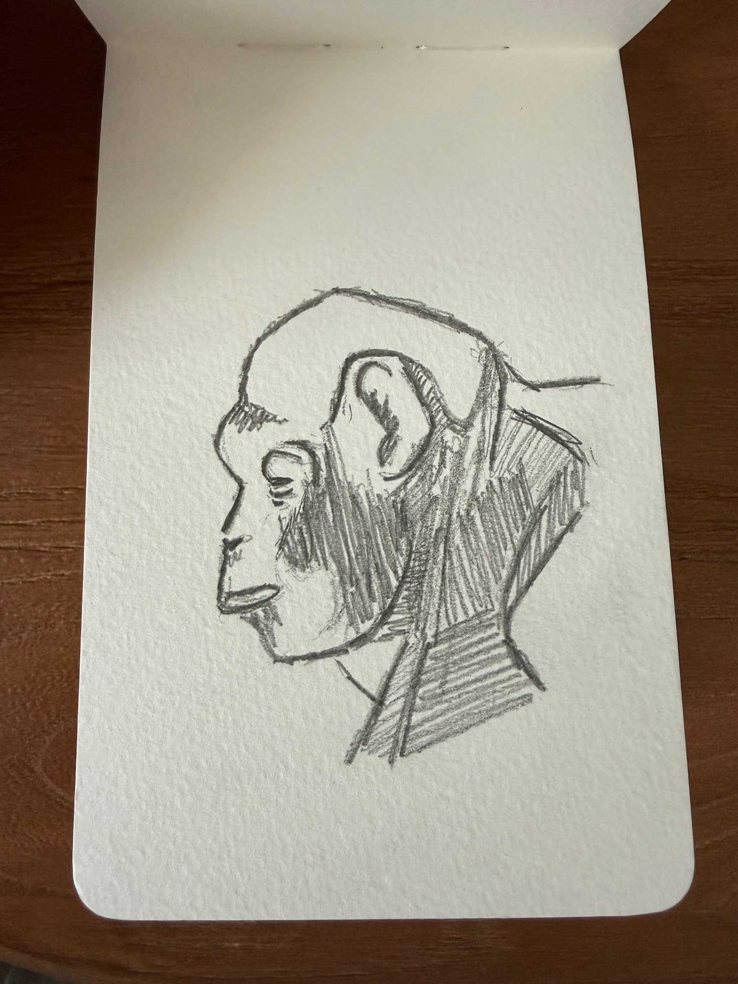 Pencil animals — sheet 3