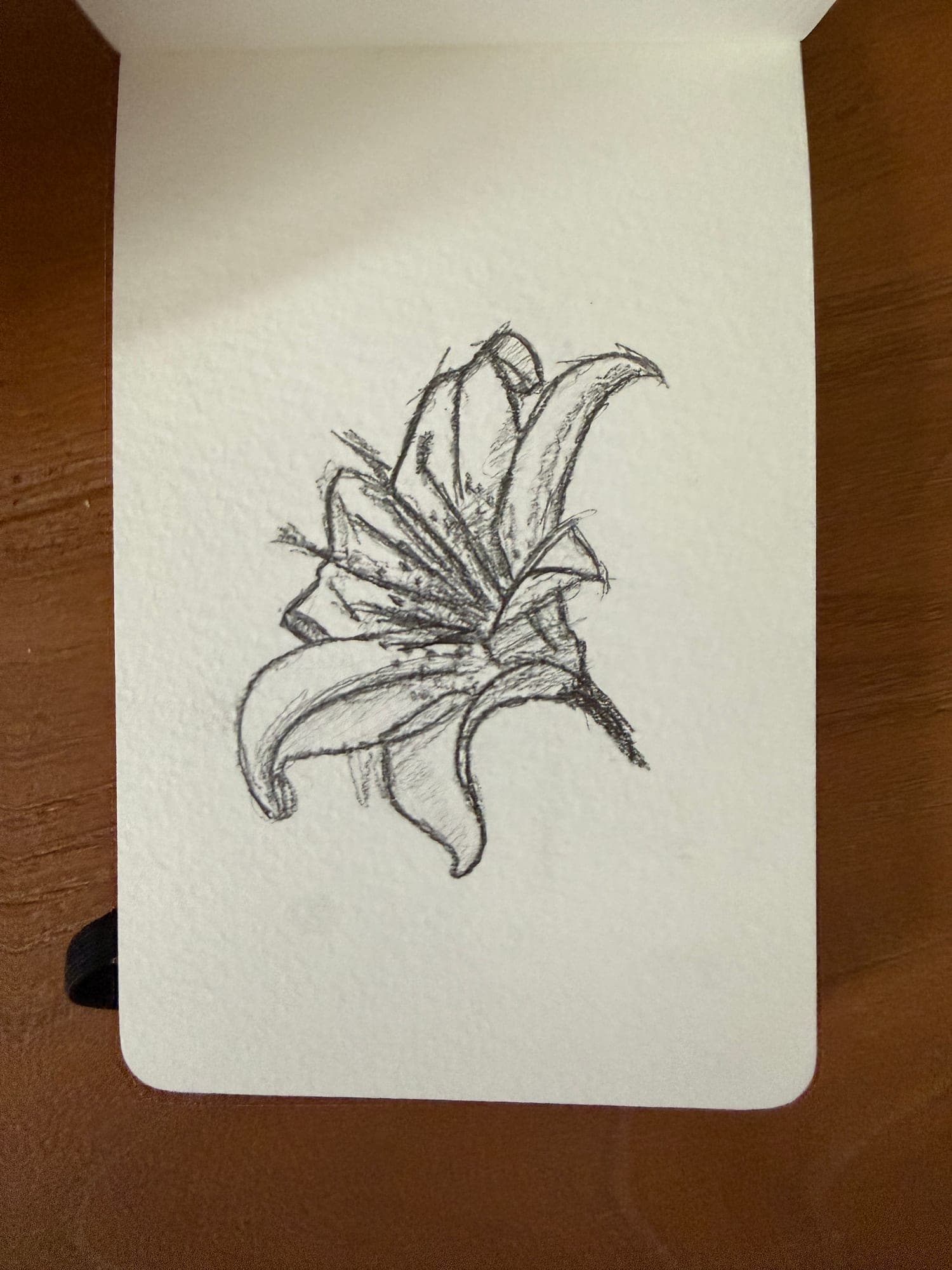 Pencil animals — sheet 7