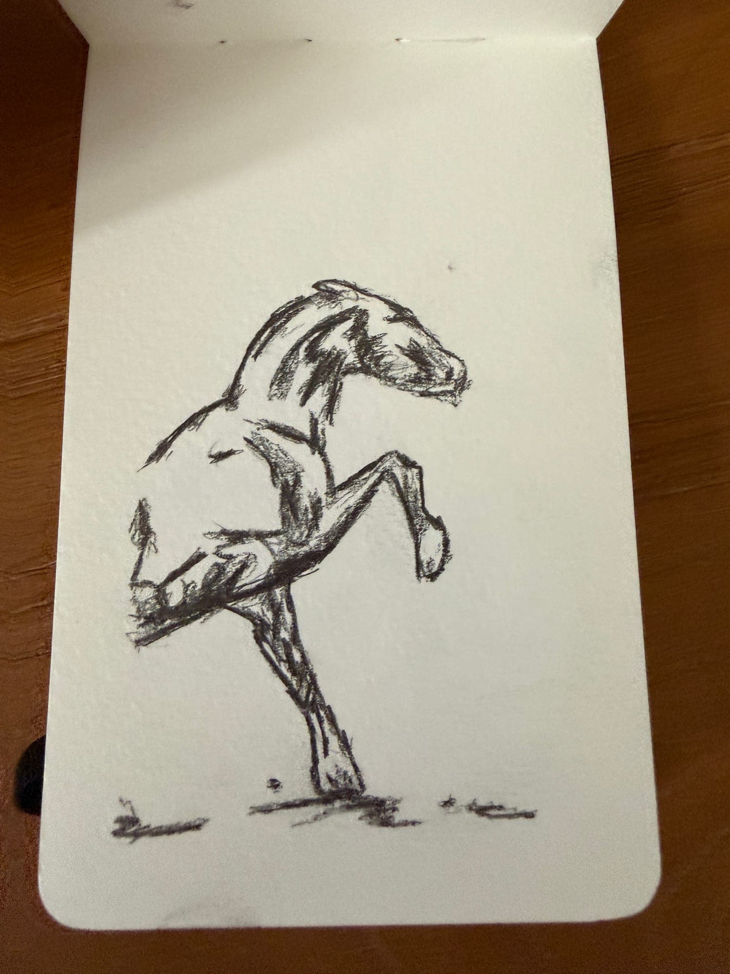 Pencil animals — sheet 13