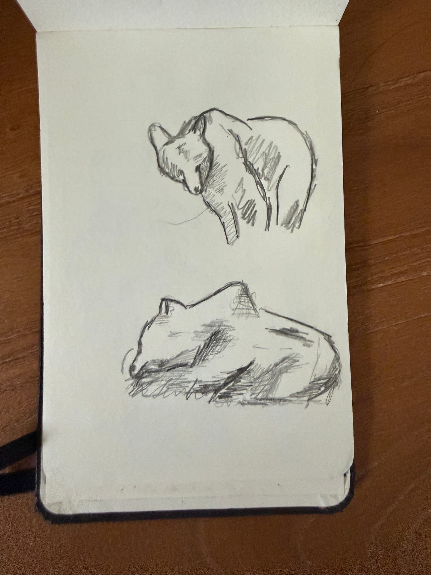Pencil animals — sheet 21