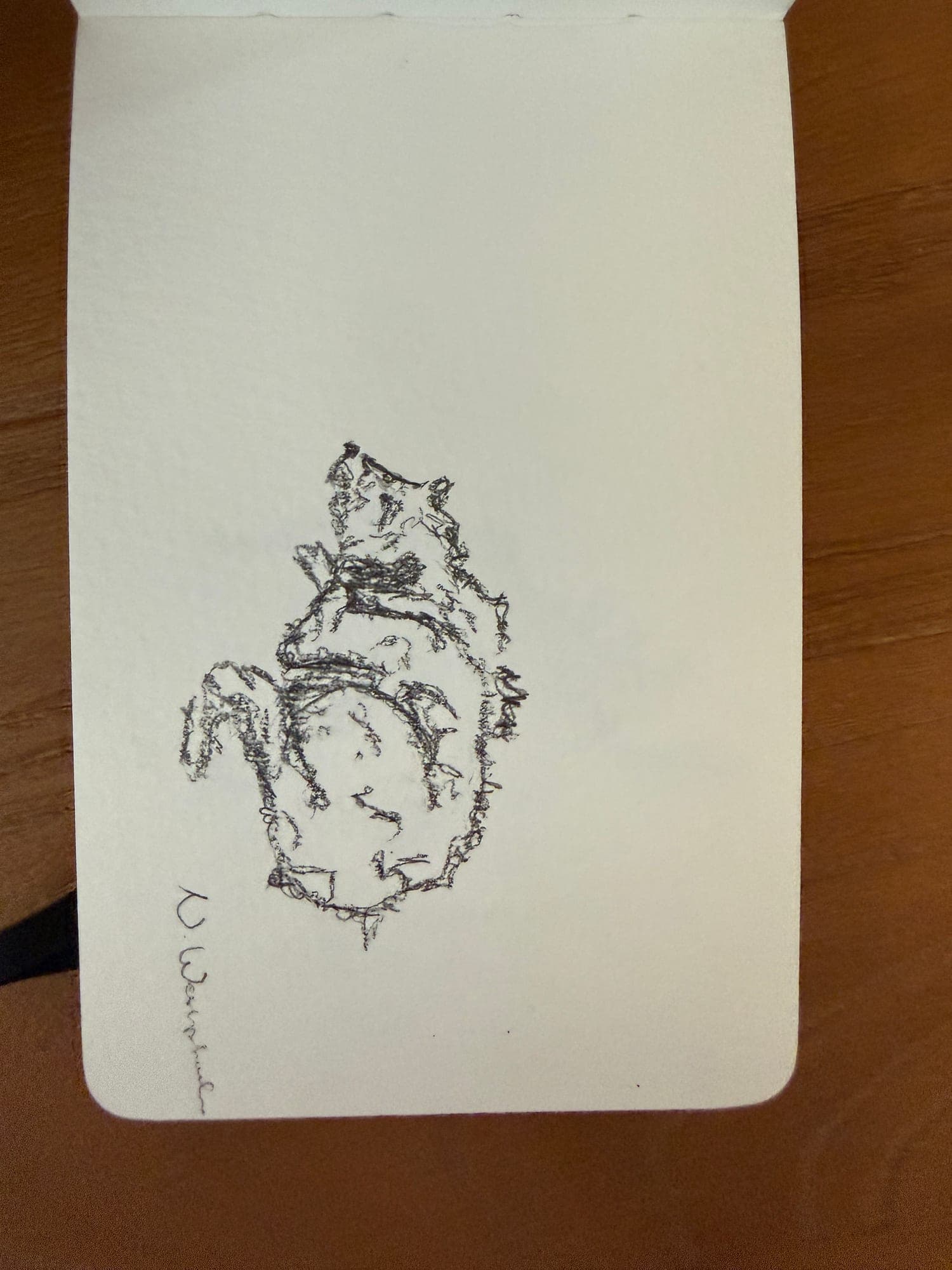 Pencil animals — sheet 22