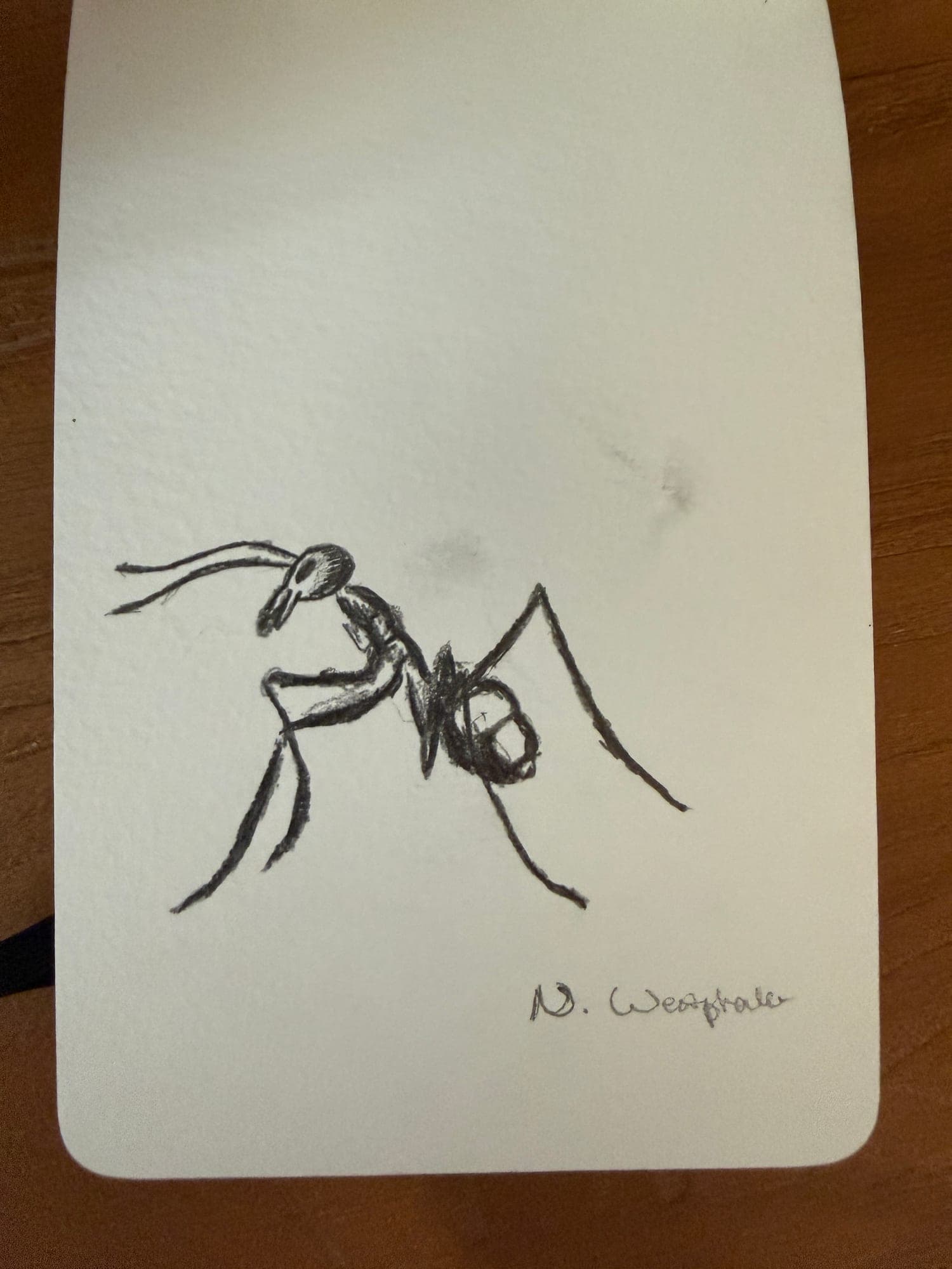Pencil animals — sheet 31