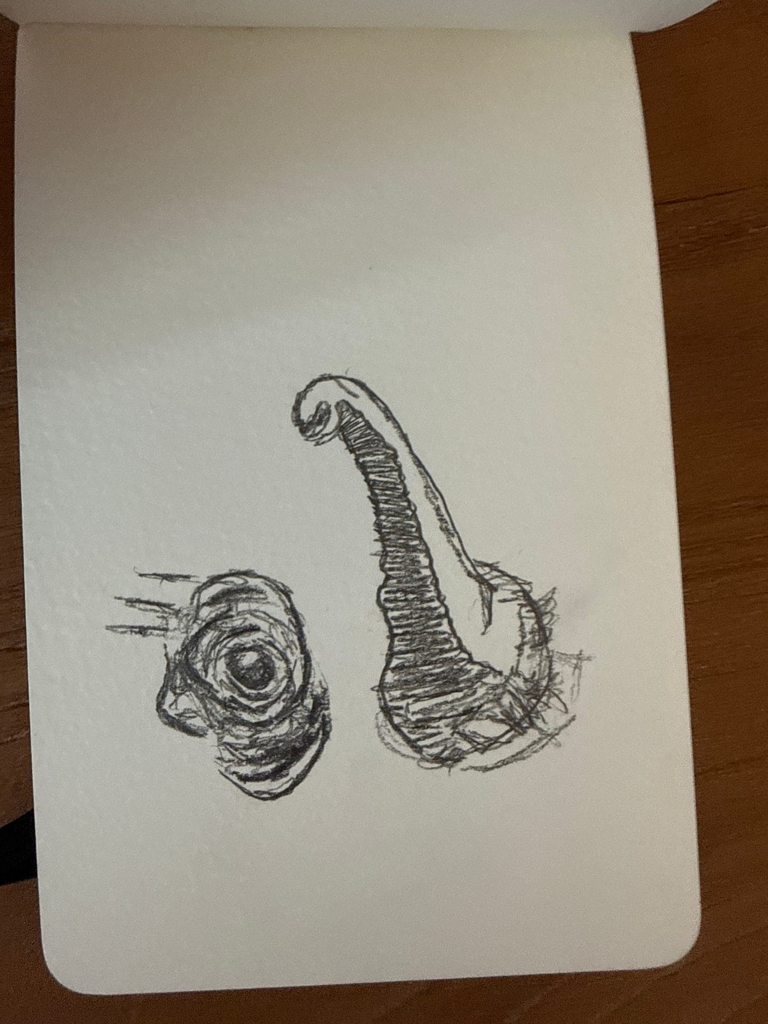 Pencil animals — sheet 43