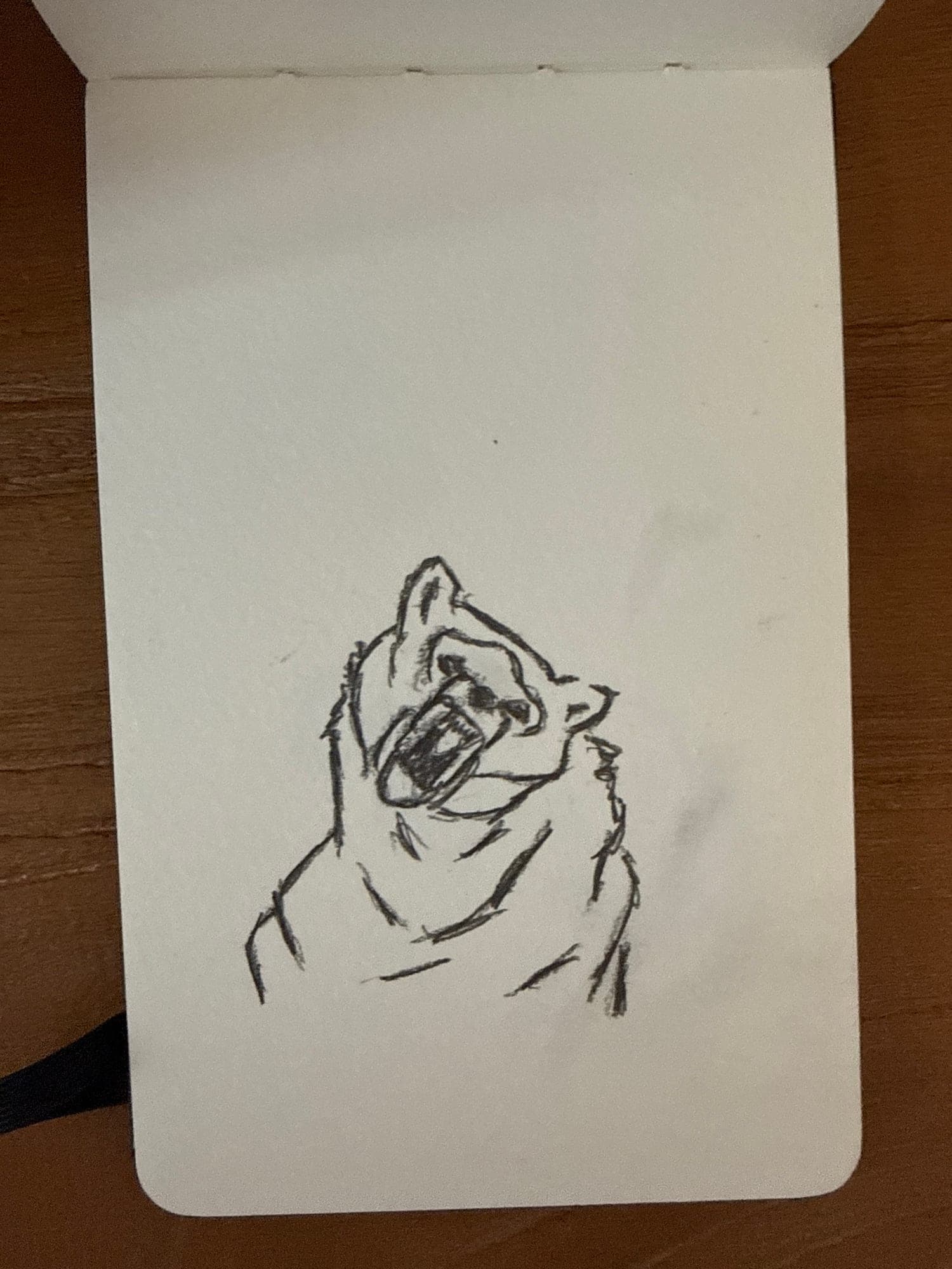 Pencil animals — sheet 44