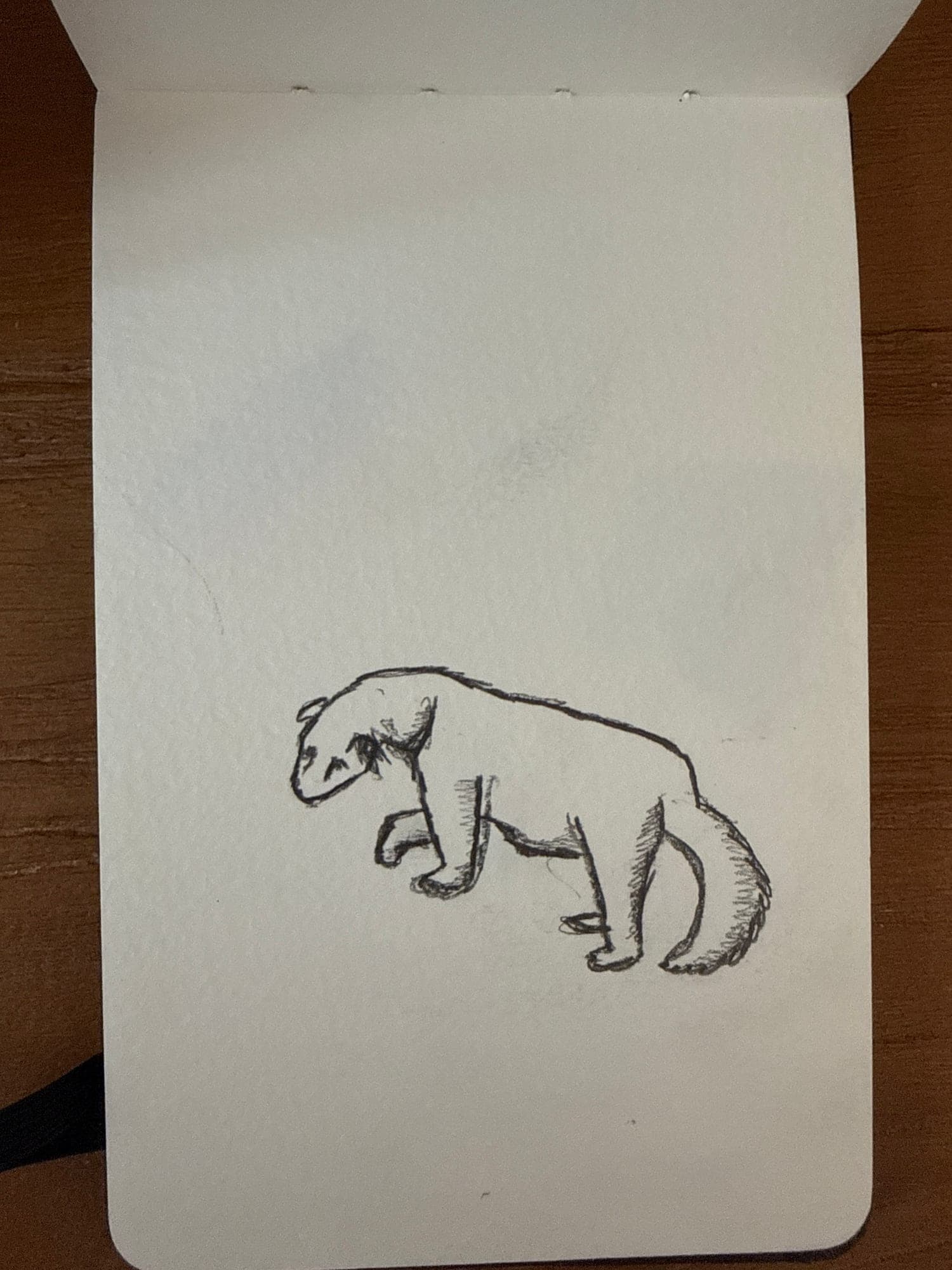 Pencil animals — sheet 45