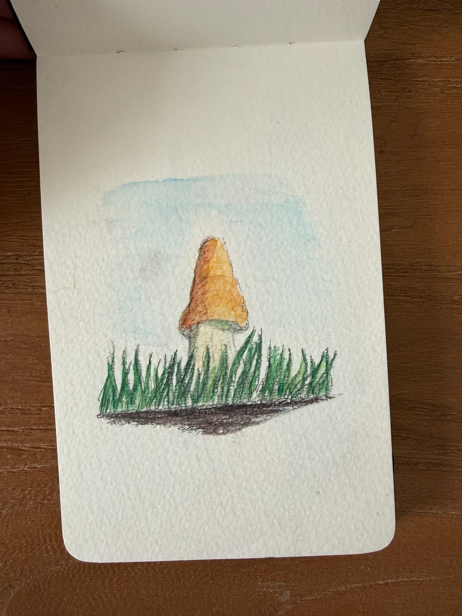 Aquarelle — sheet 1