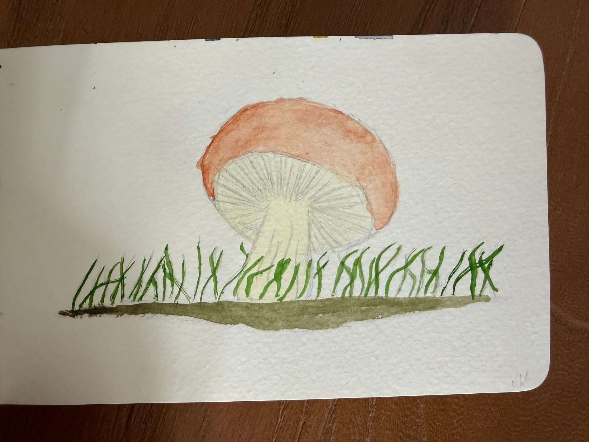 Aquarelle — sheet 4