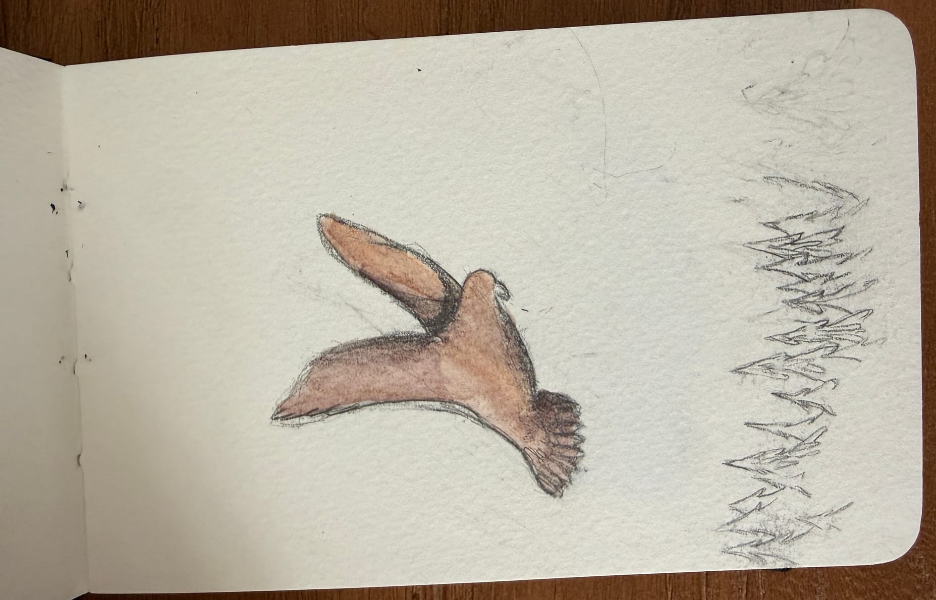 Aquarelle — 2017 2