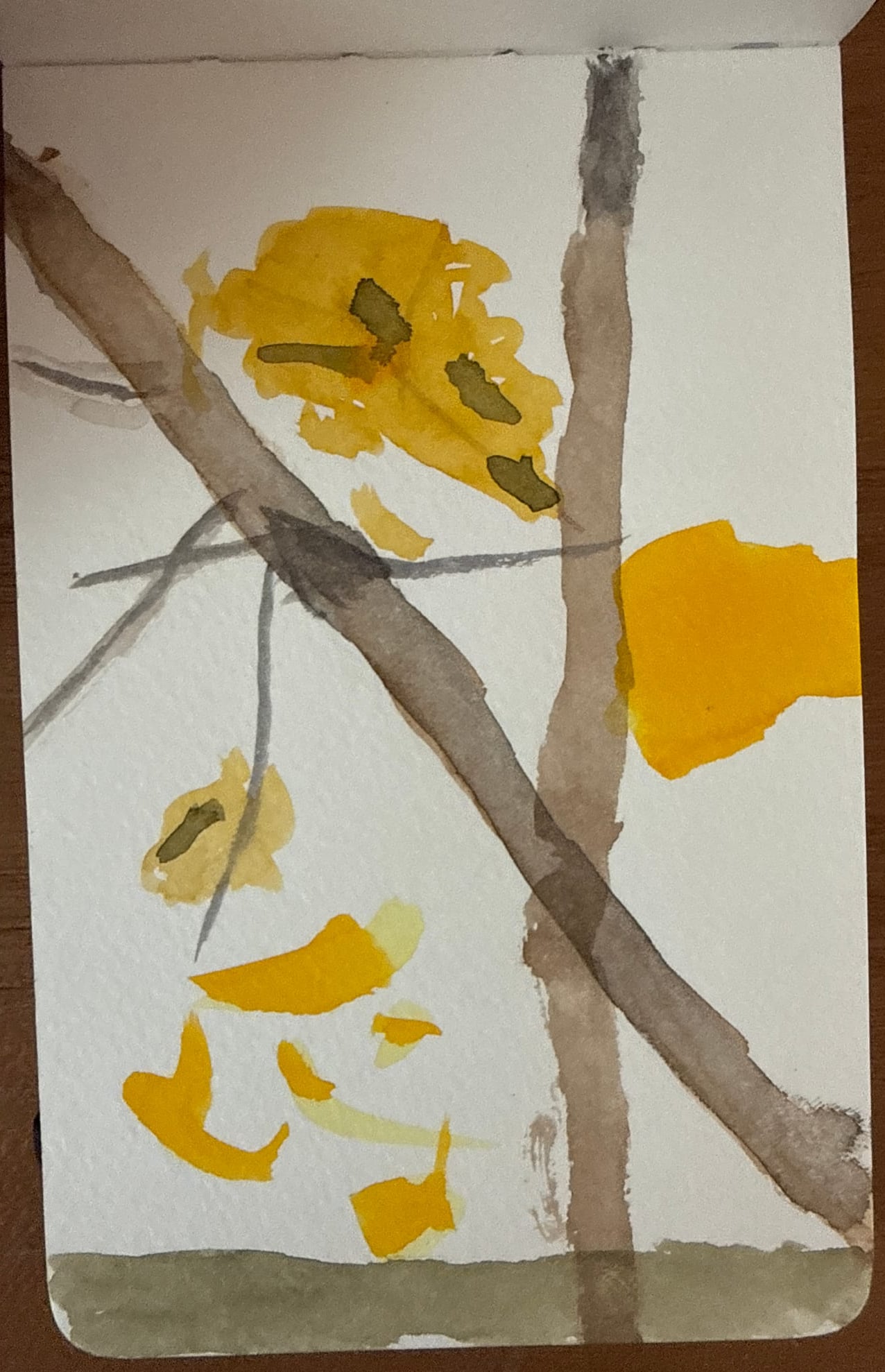 Aquarelle — 2018 2