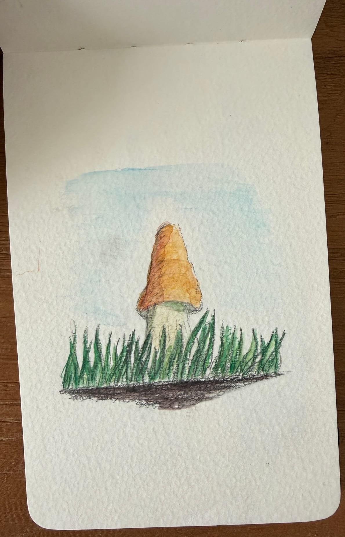 Aquarelle — 2019 1