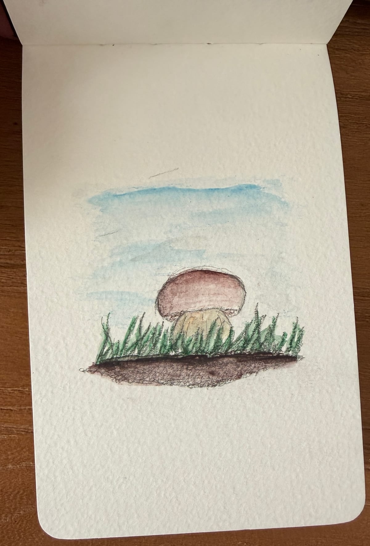 Aquarelle — 2019 2