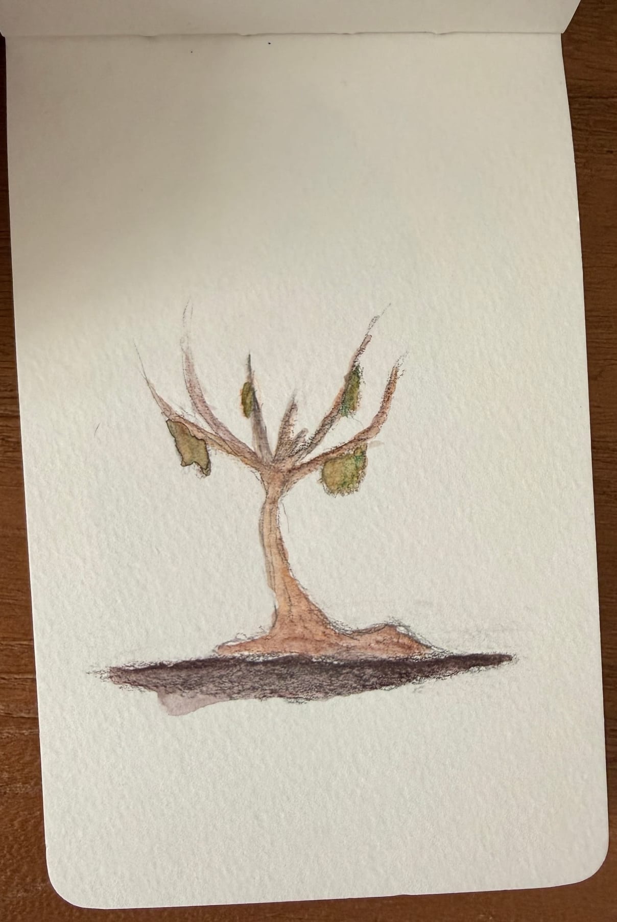 Aquarelle — 2019 3