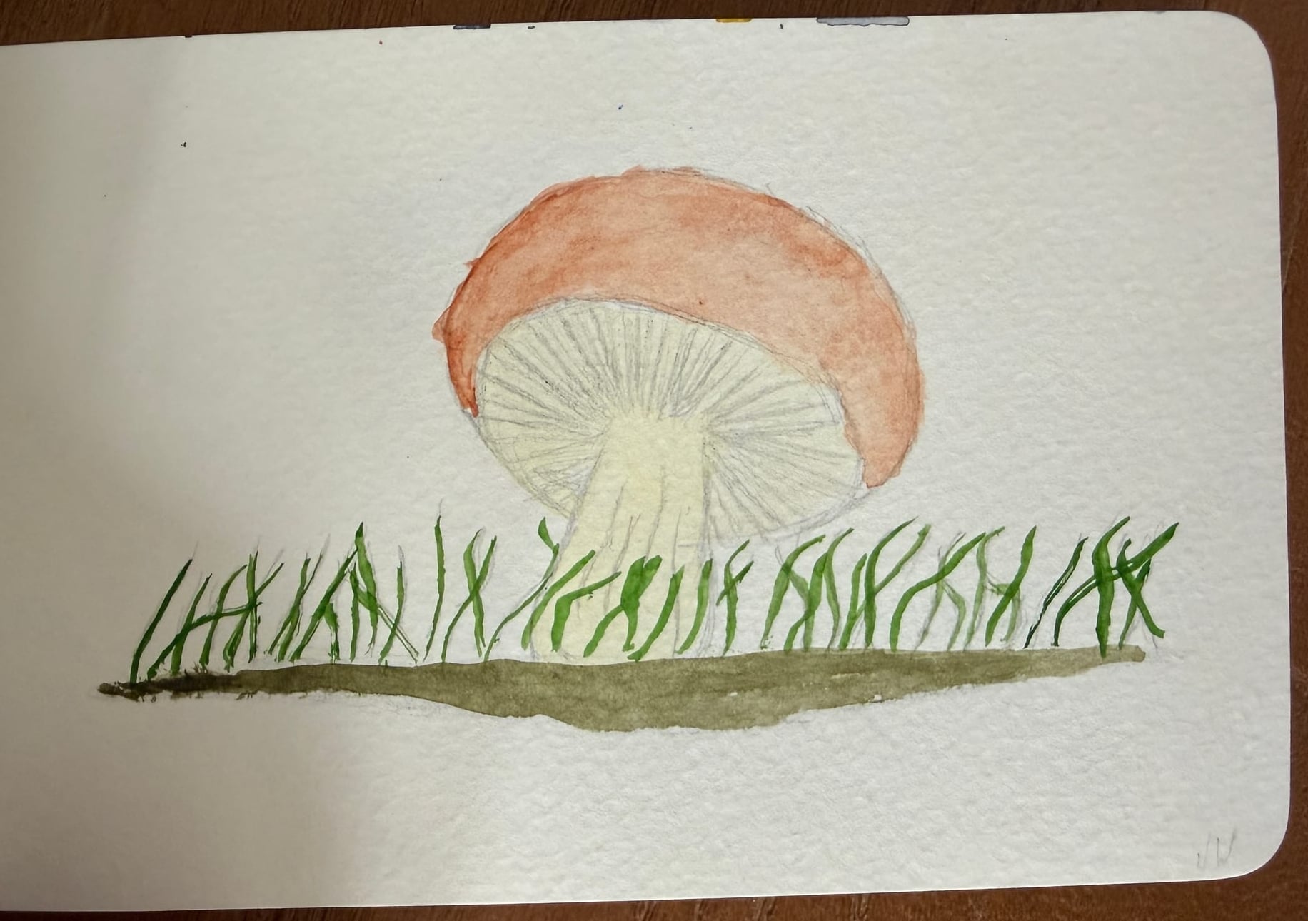 Aquarelle — 2019 4