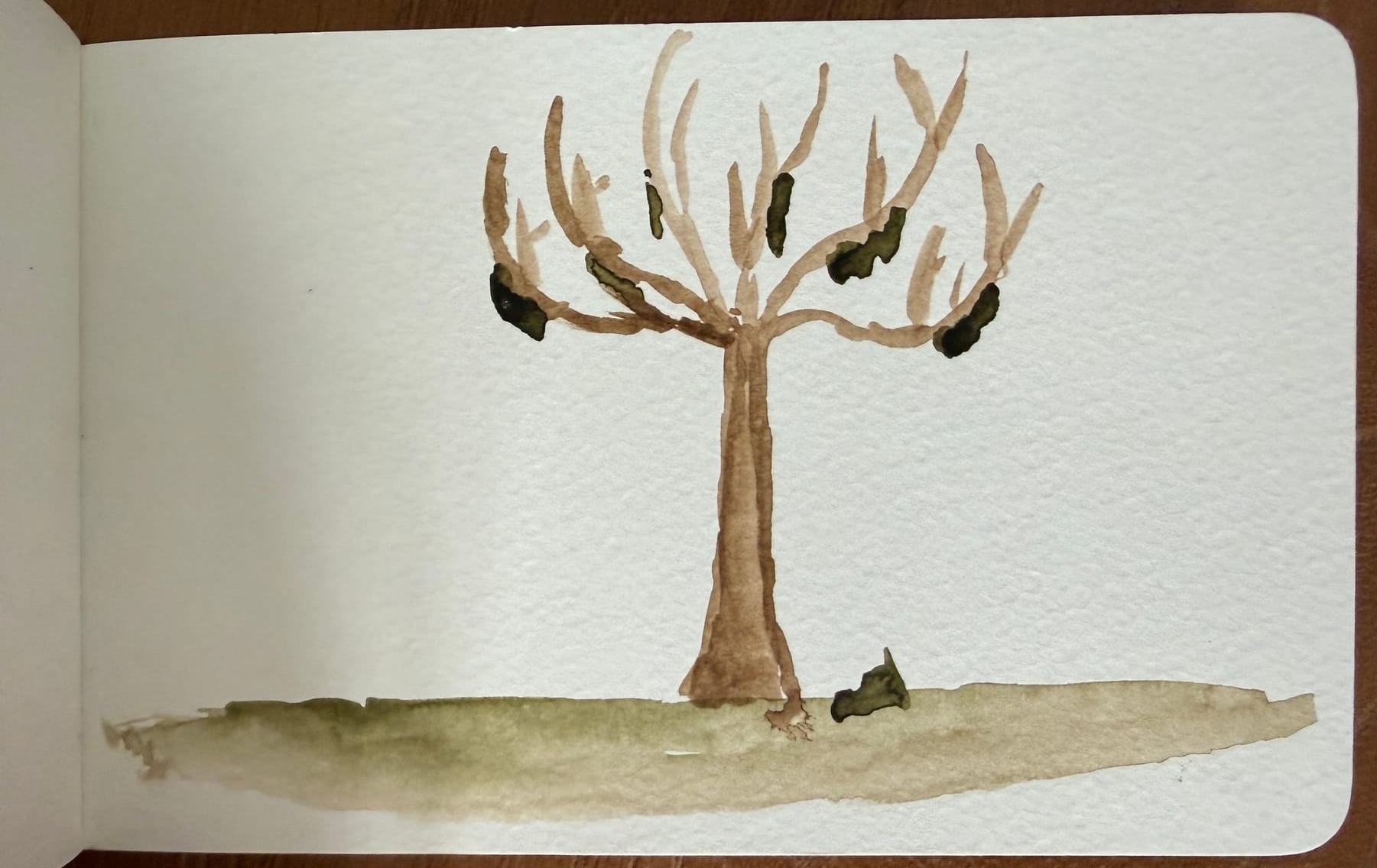 Aquarelle — 2019 7