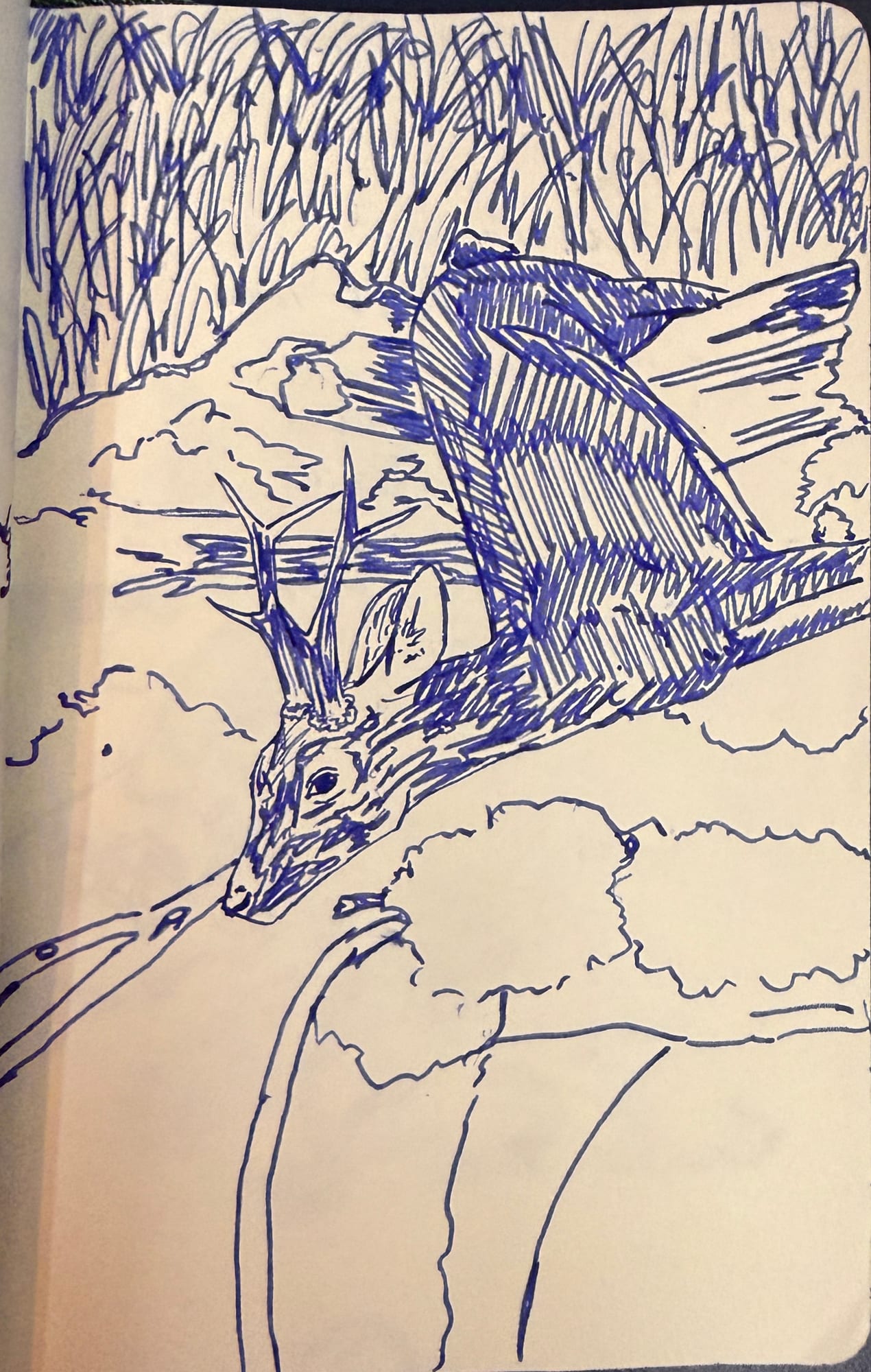 Drawing from 1 August 2026