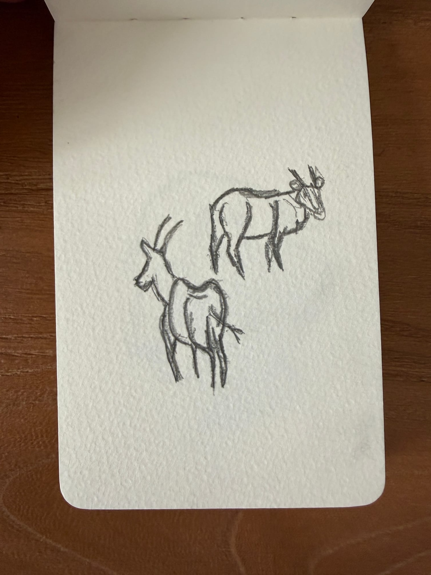 Pencil animals — sheet 2