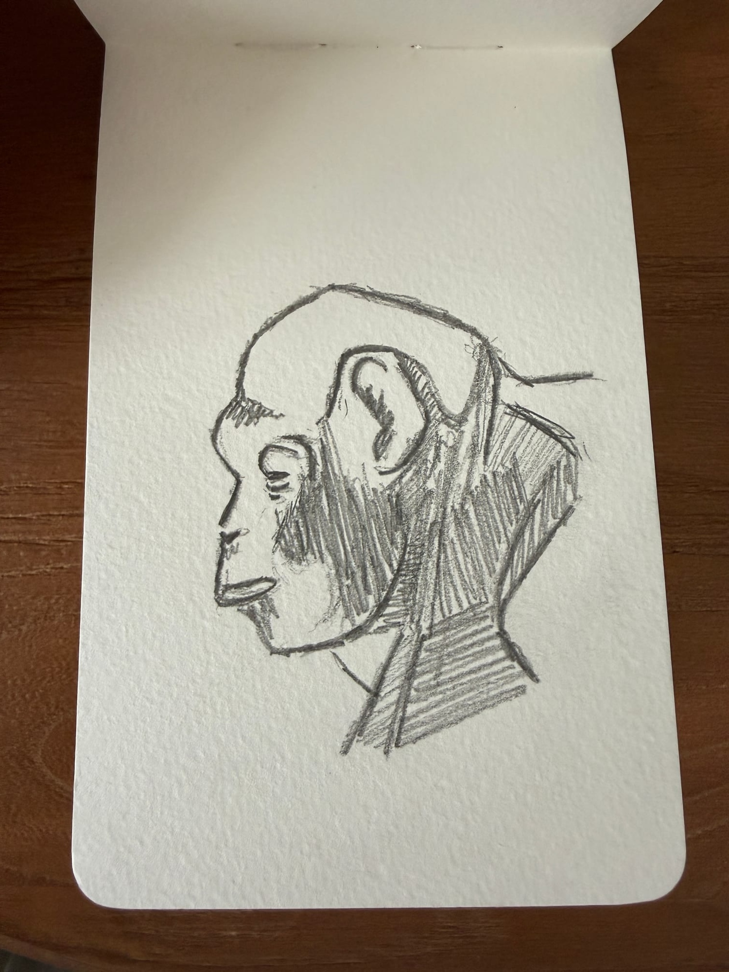 Pencil animals — sheet 3