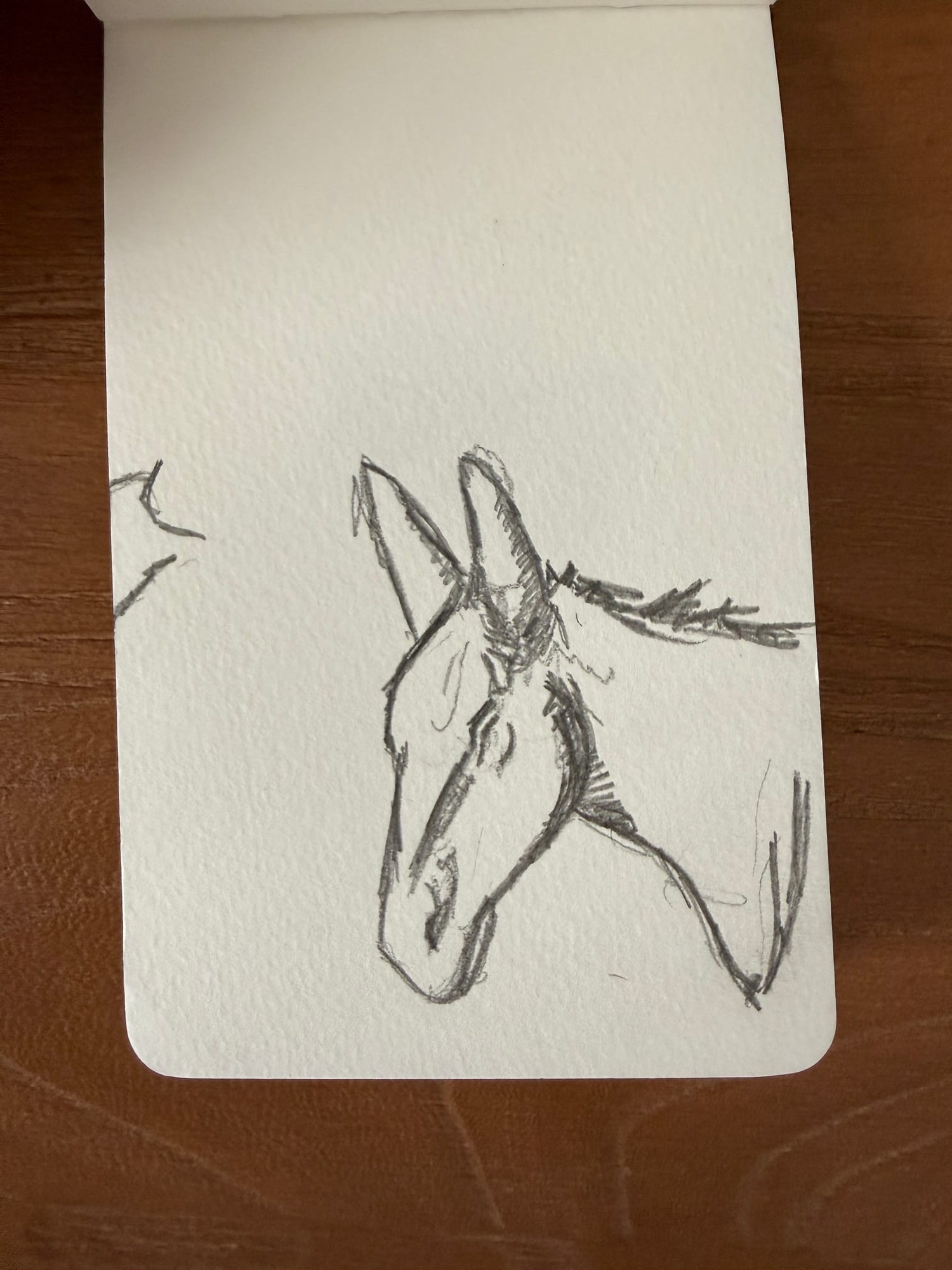 Pencil animals — sheet 4