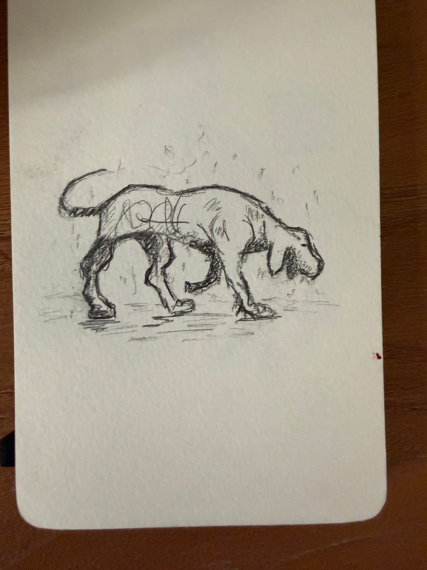 Pencil animals — sheet 6