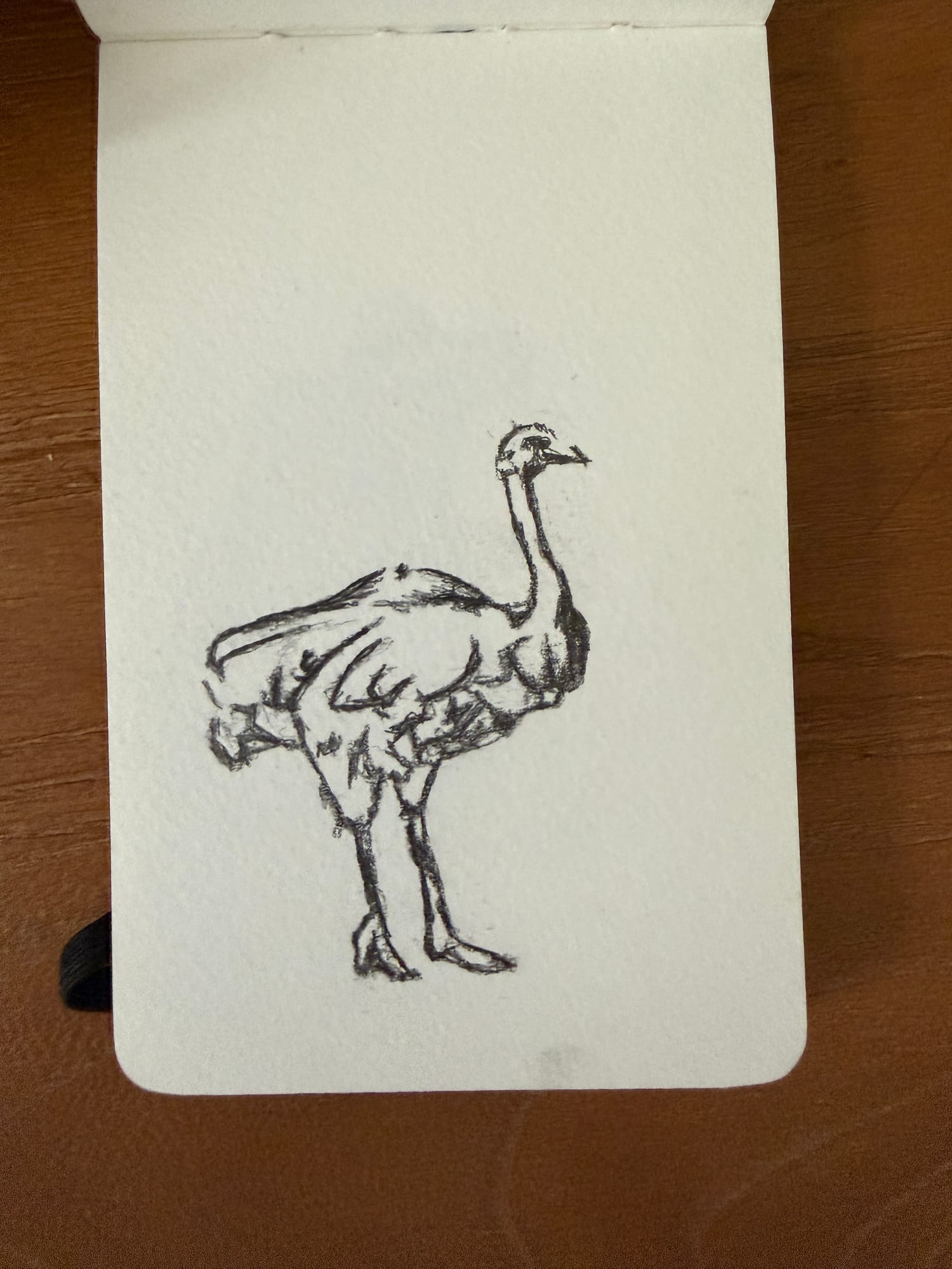 Pencil animals — sheet 8