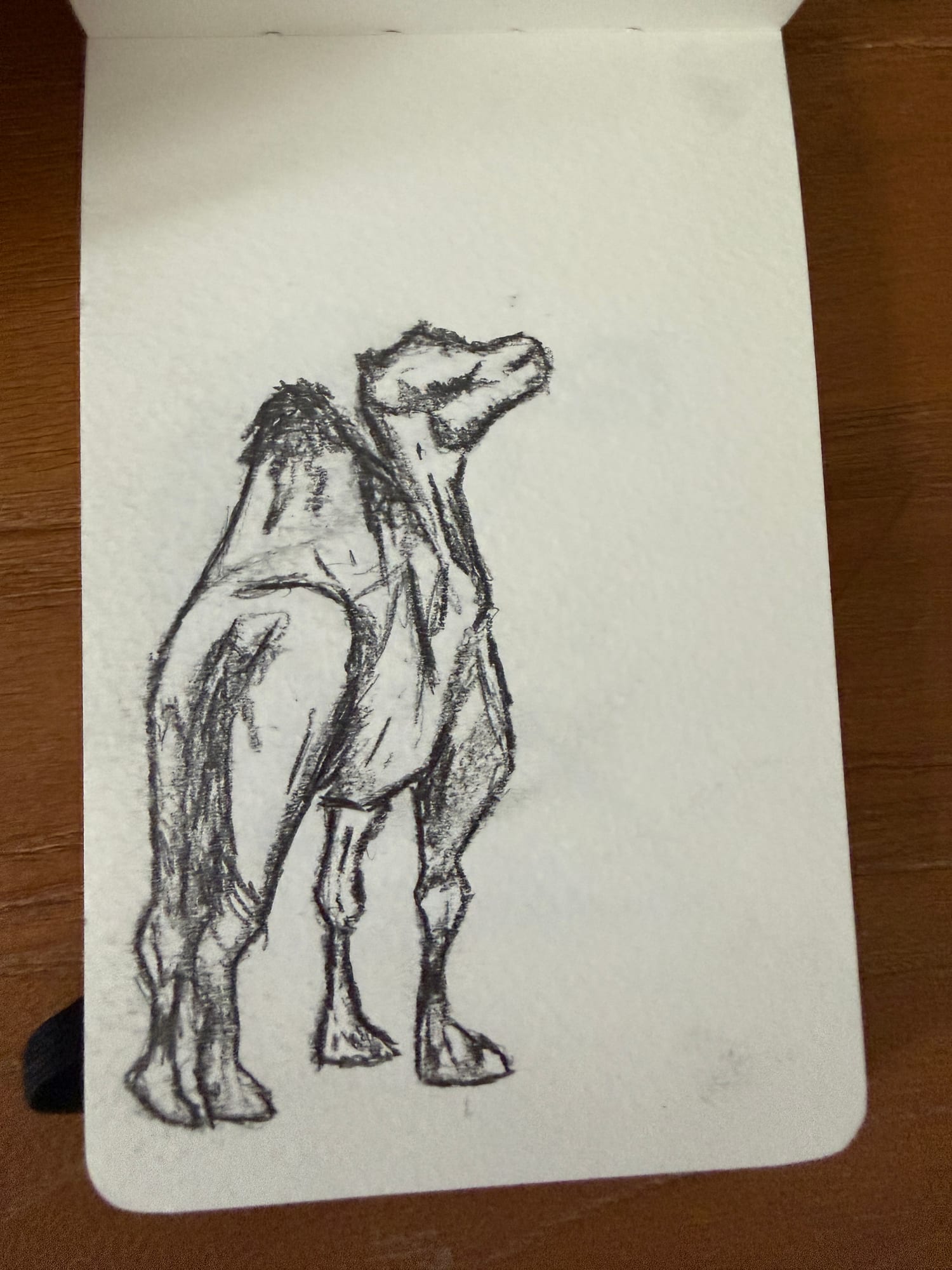 Pencil animals — sheet 9