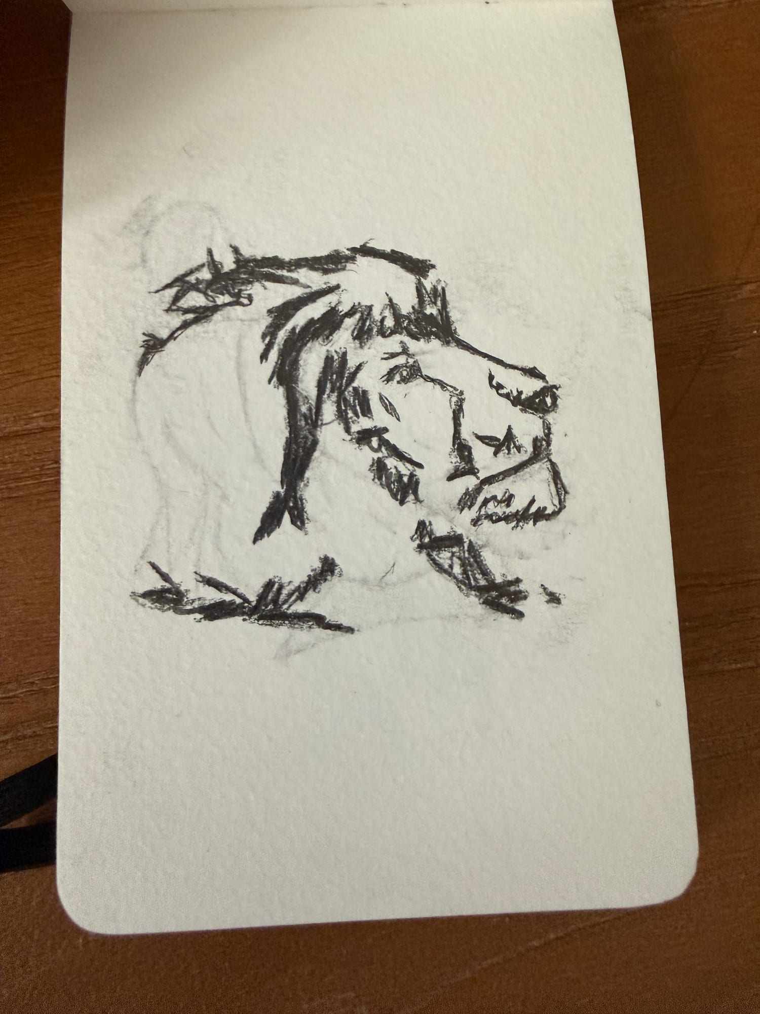 Pencil animals — sheet 11