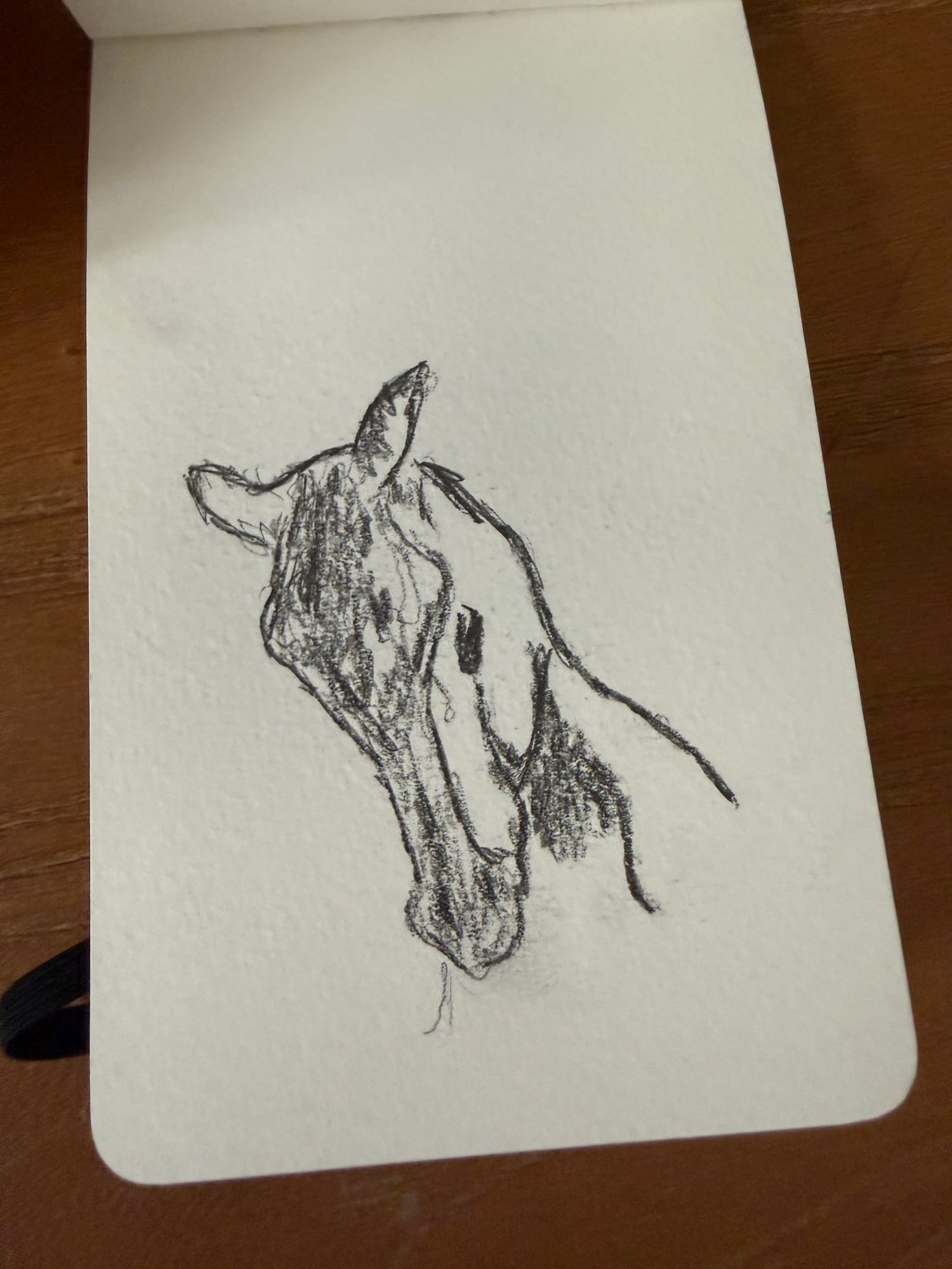 Pencil animals — sheet 12