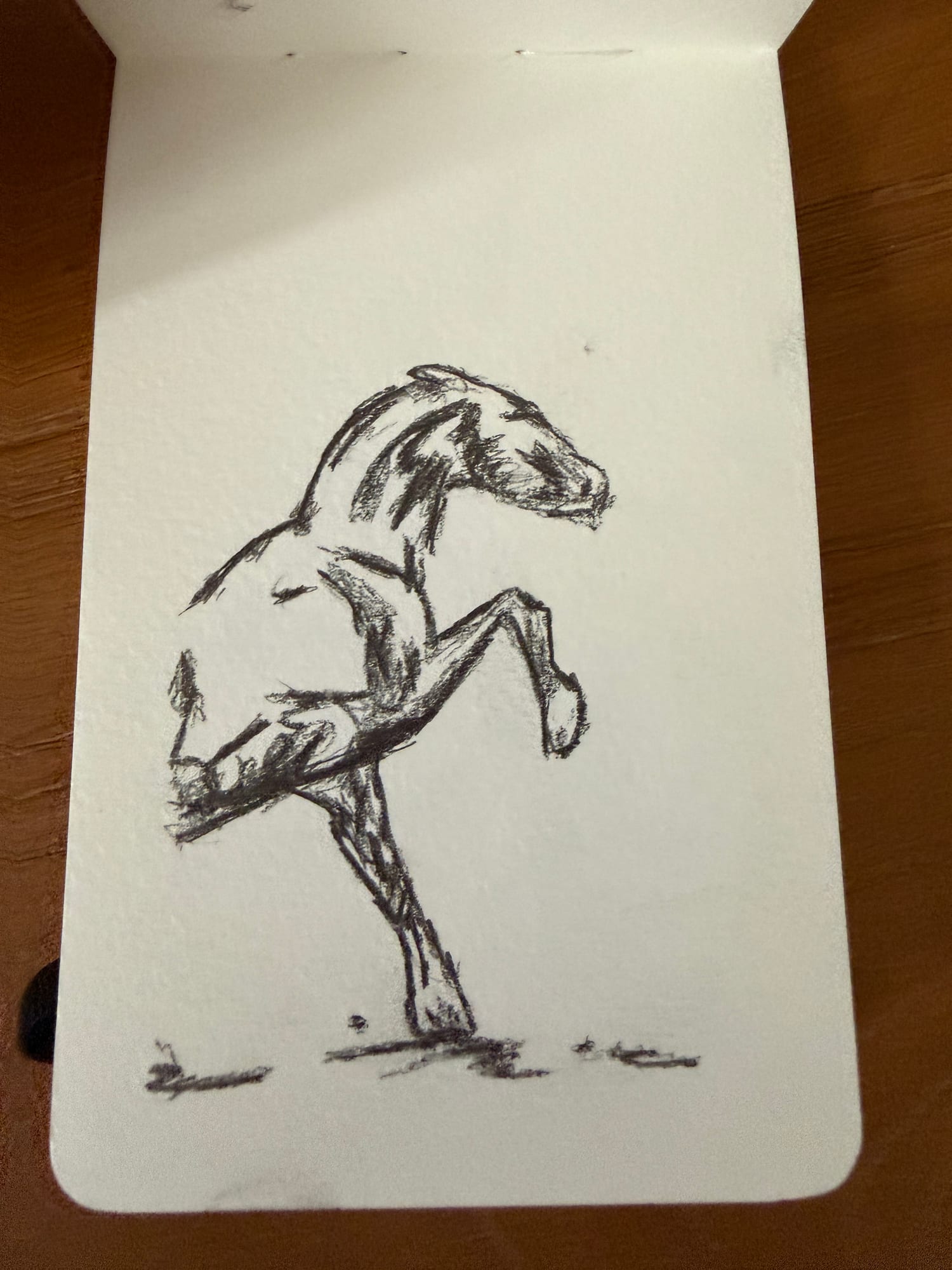 Pencil animals — sheet 13