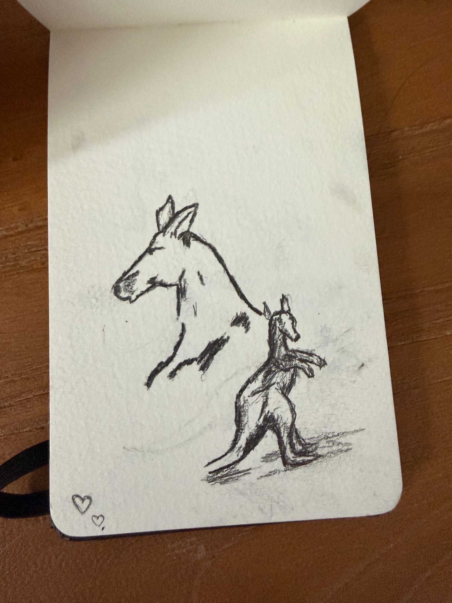 Pencil animals — sheet 14