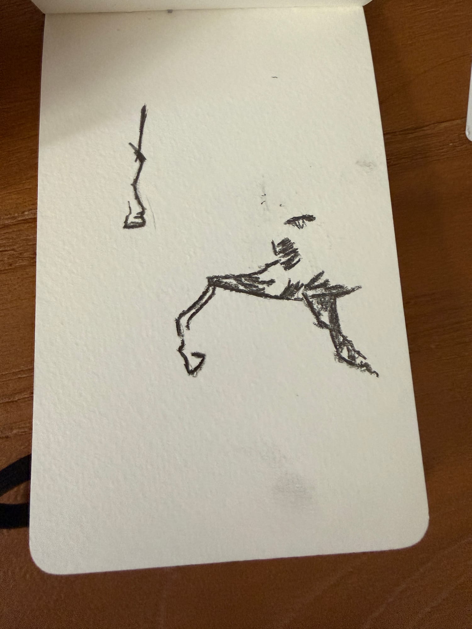 Pencil animals — sheet 15
