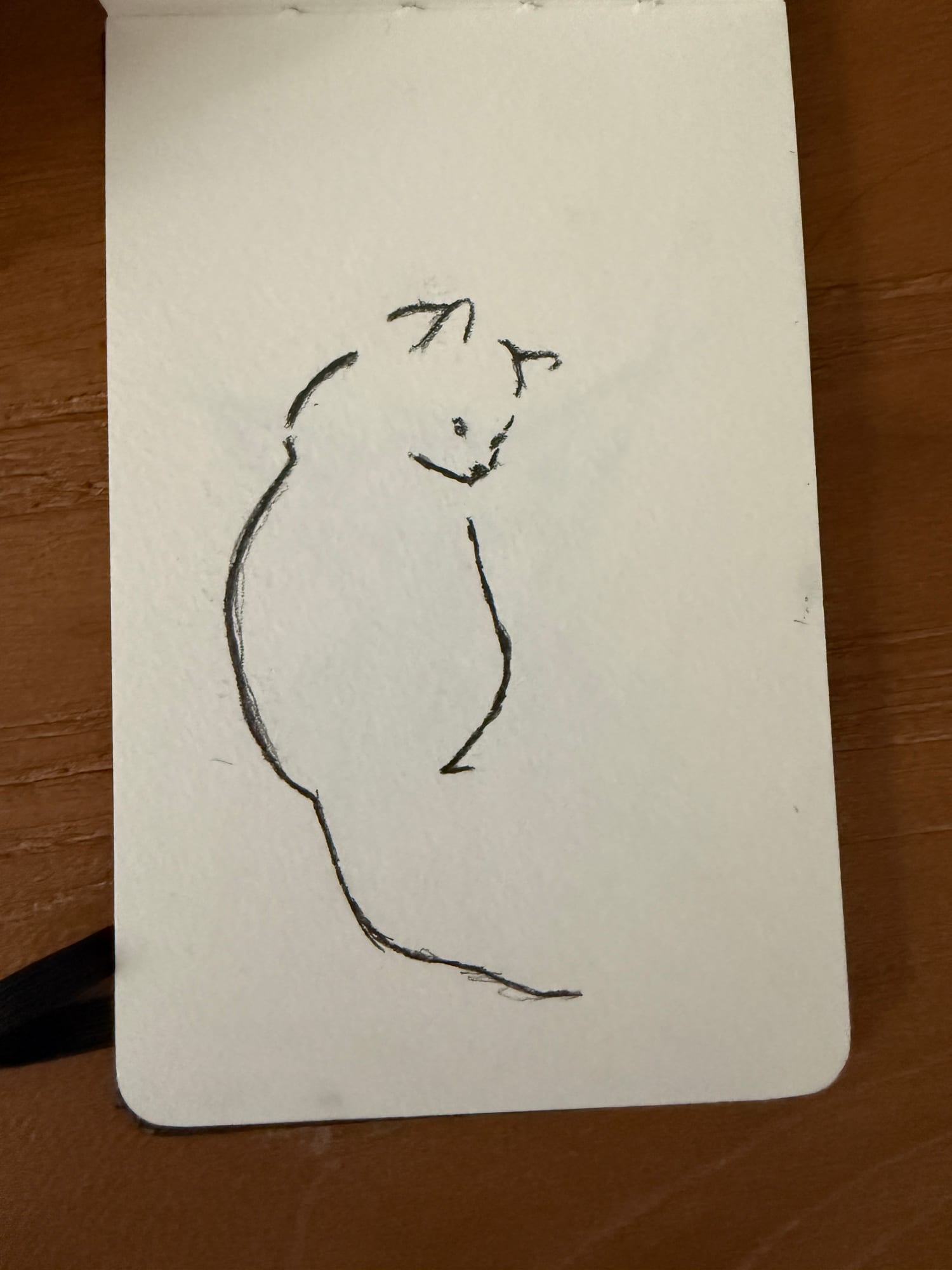 Pencil animals — sheet 16
