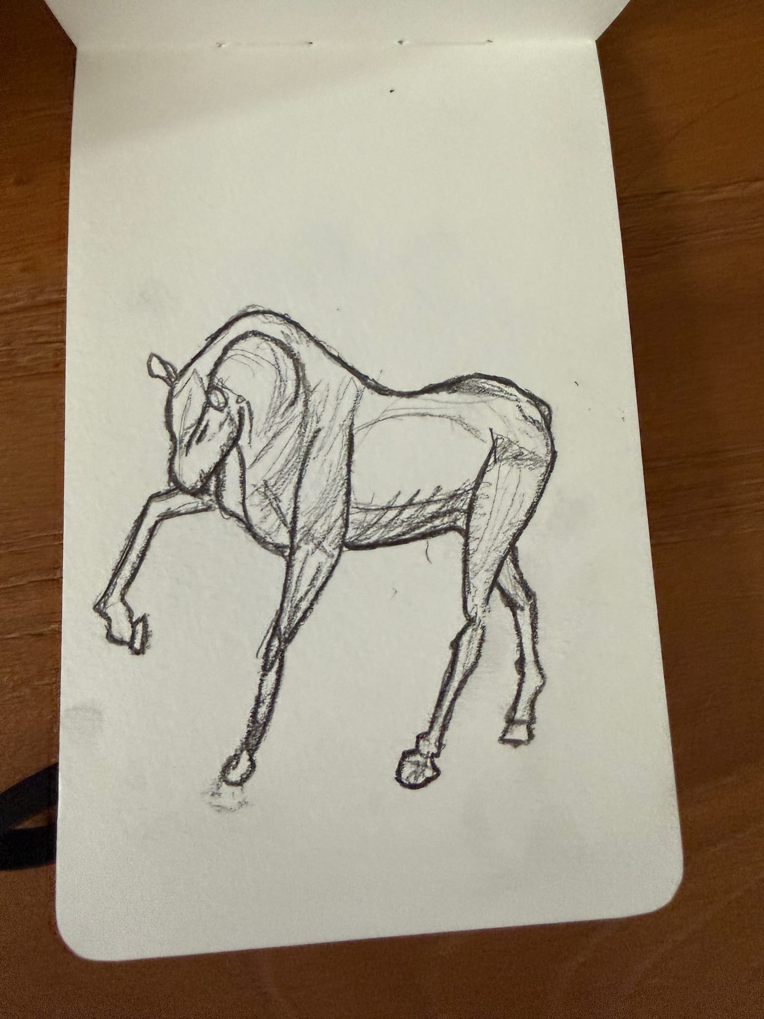 Pencil animals — sheet 18
