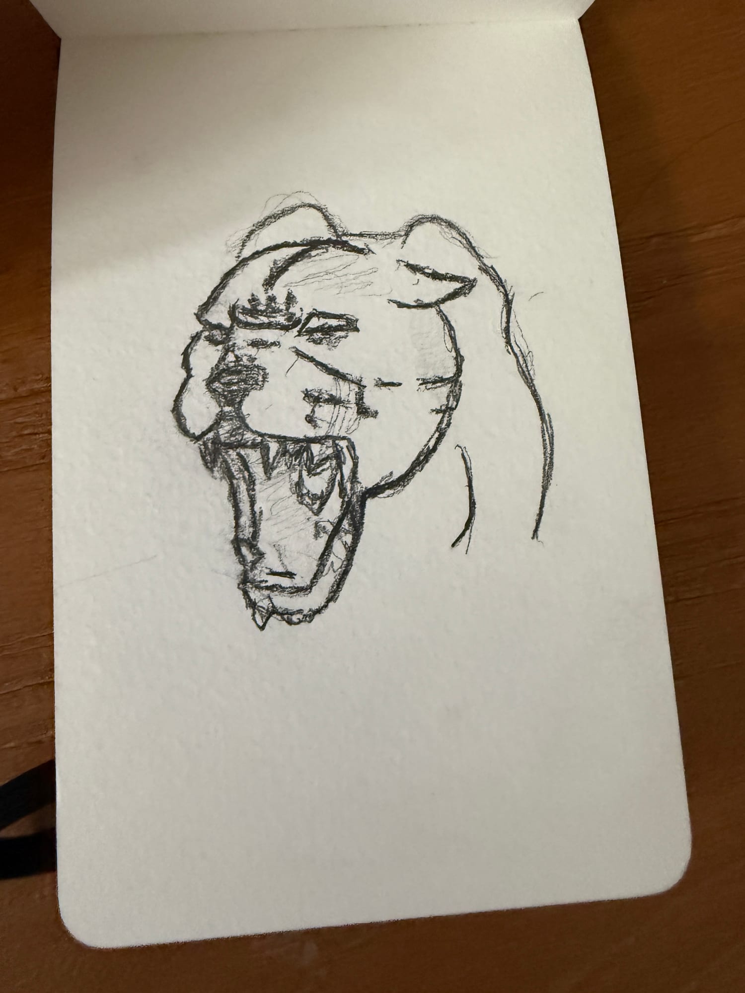 Pencil animals — sheet 19