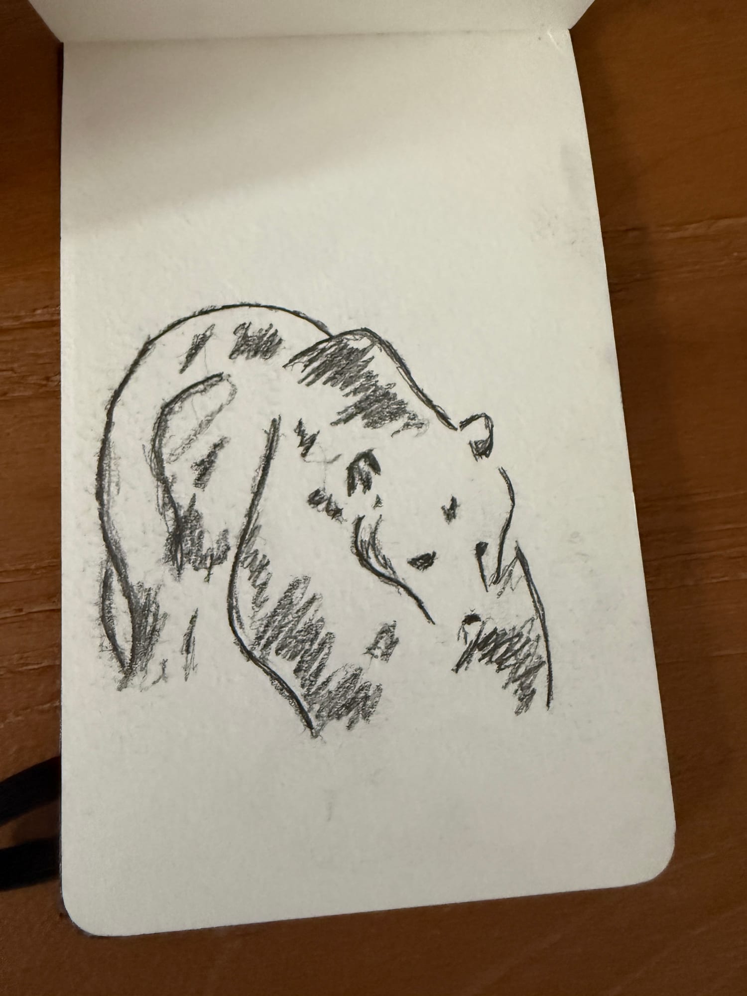 Pencil animals — sheet 20