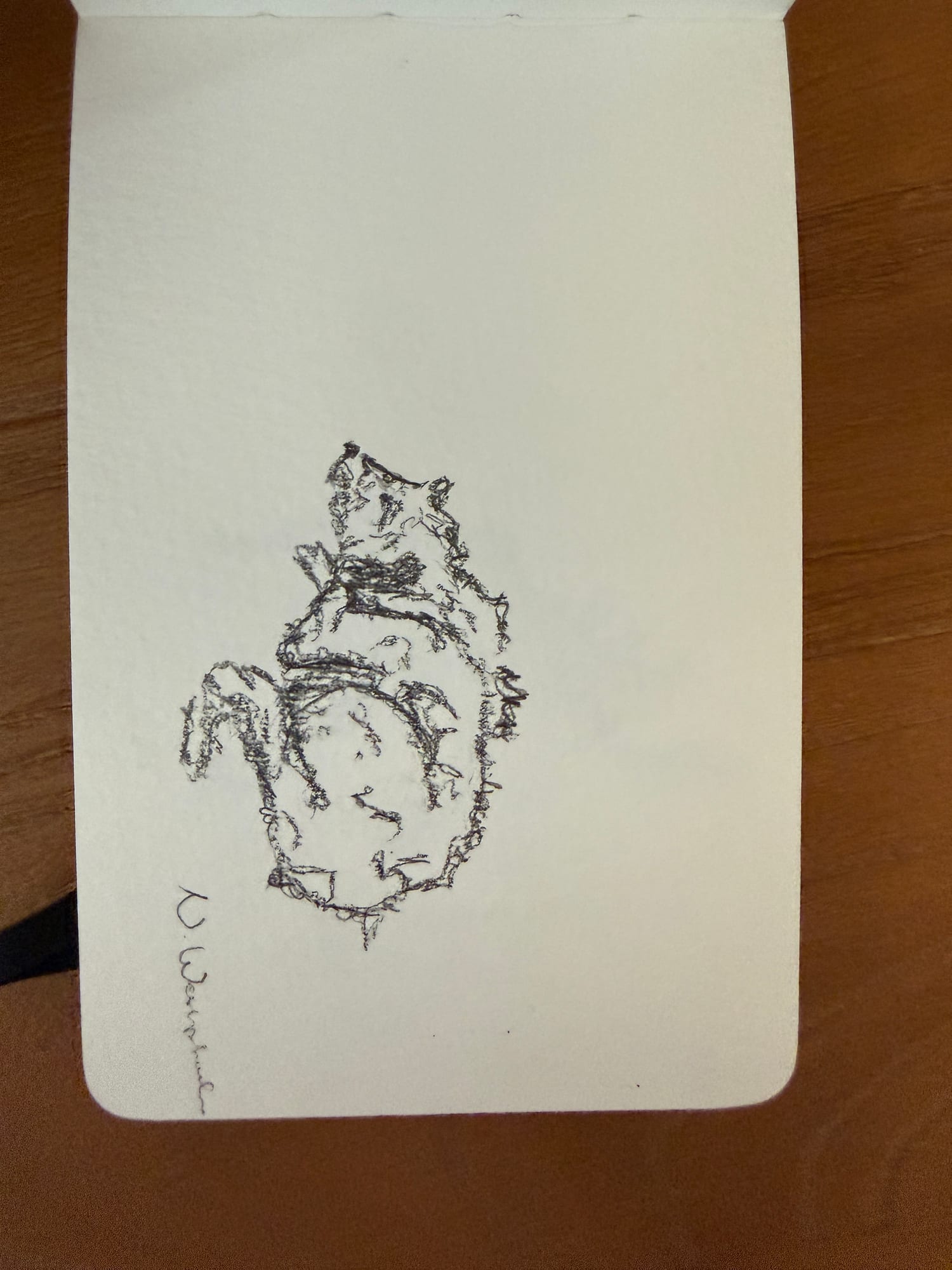 Pencil animals — sheet 22