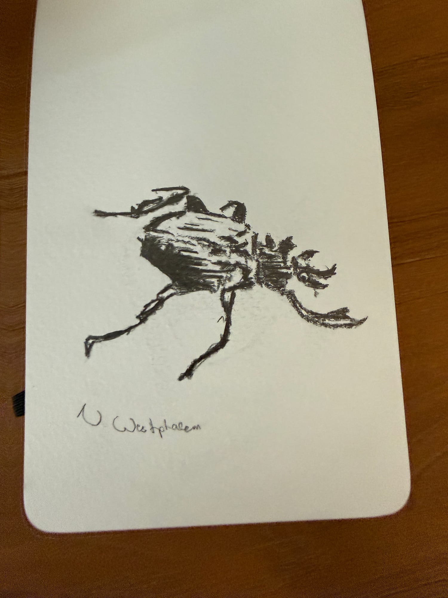 Pencil animals — sheet 23