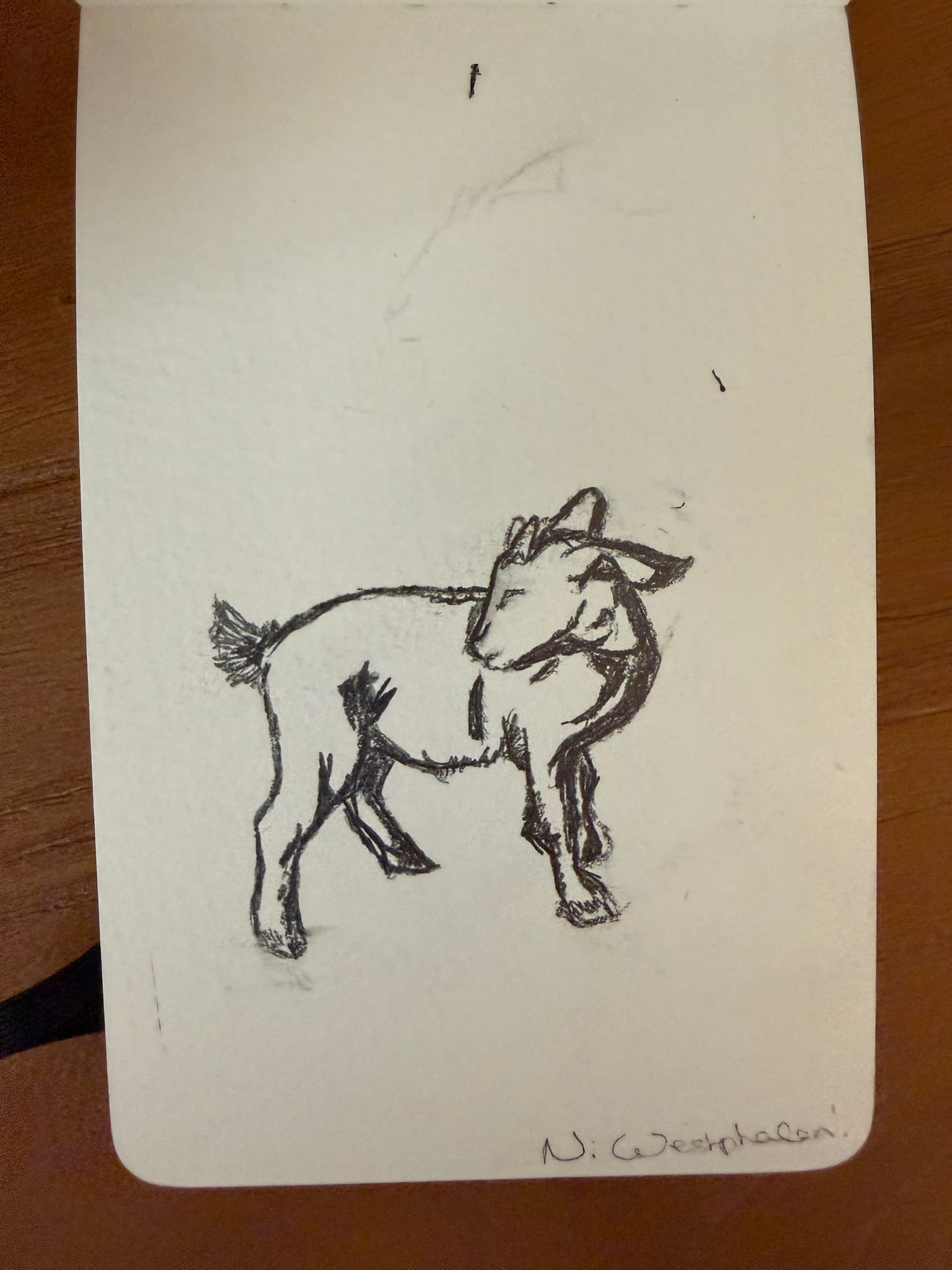 Pencil animals — sheet 24