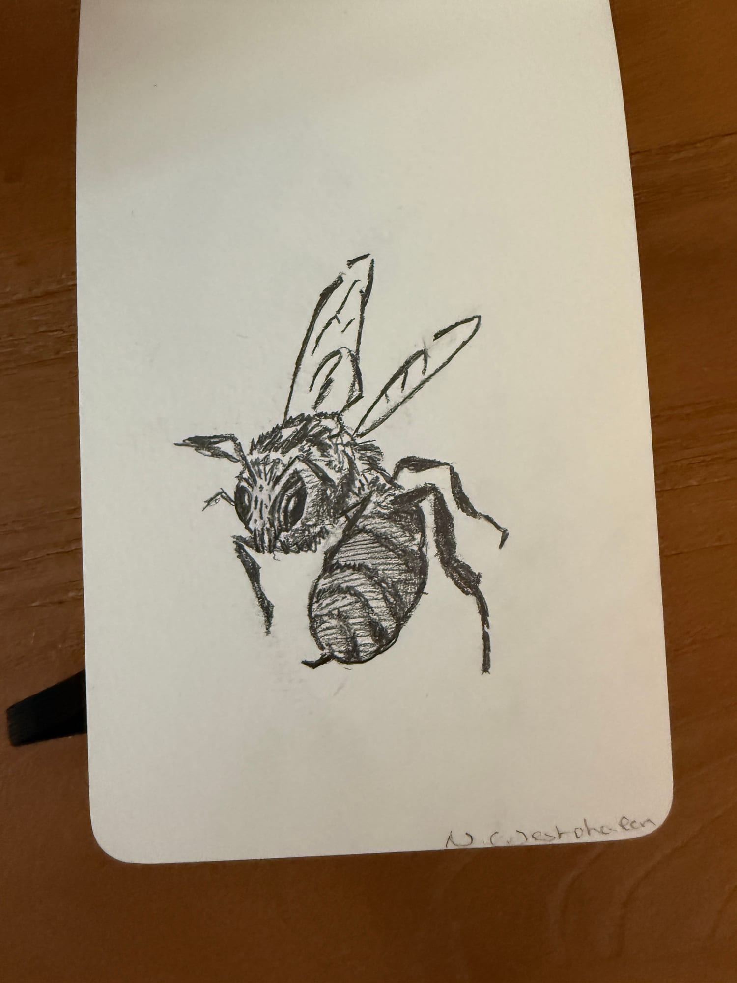 Pencil animals — sheet 25