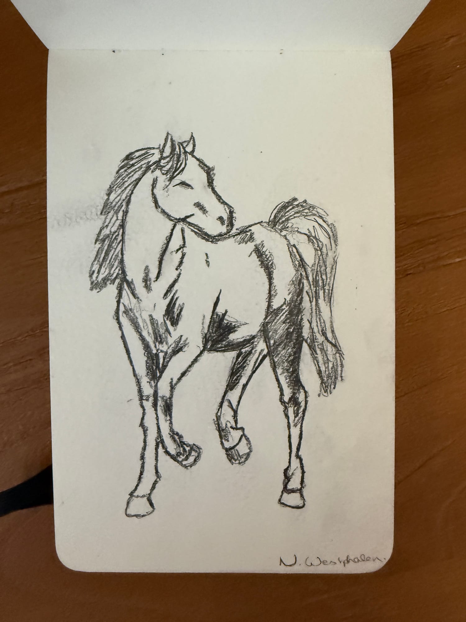 Pencil animals — sheet 26