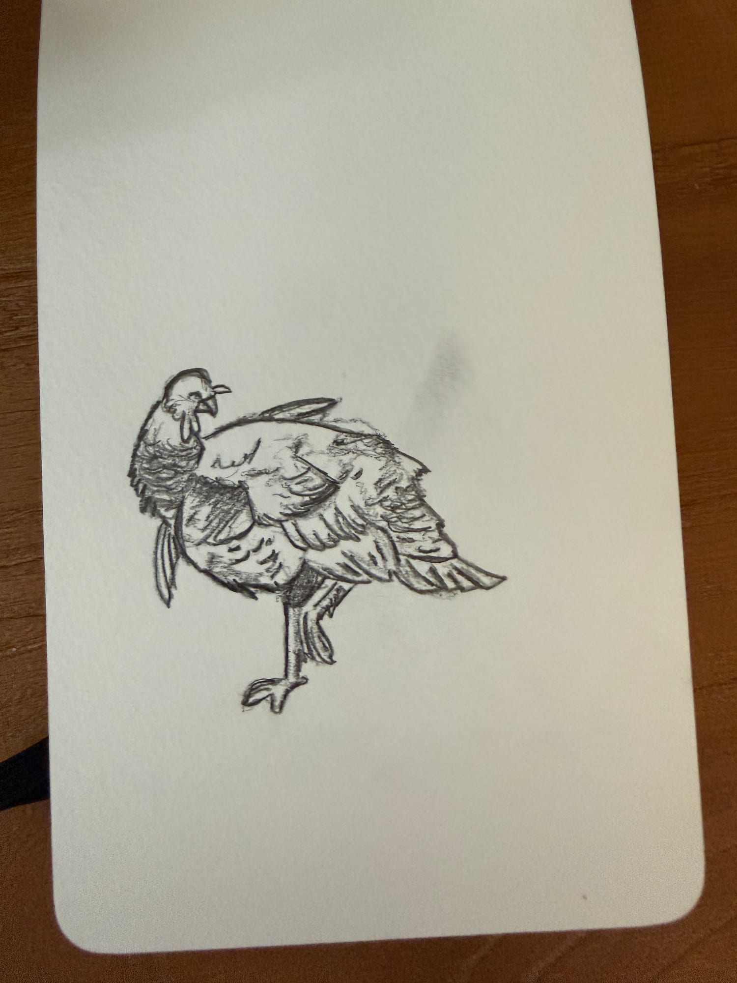 Pencil animals — sheet 30
