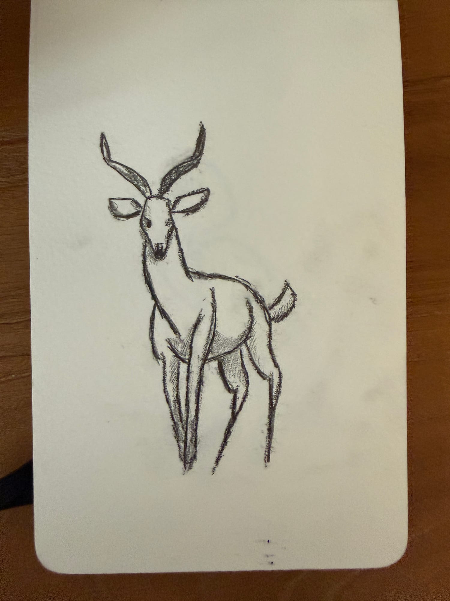 Pencil animals — sheet 32