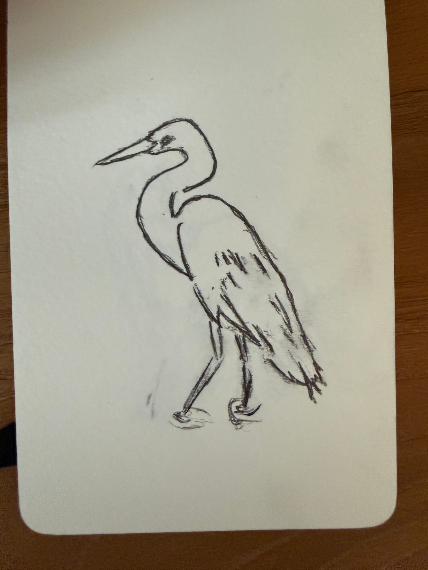 Pencil animals — sheet 33