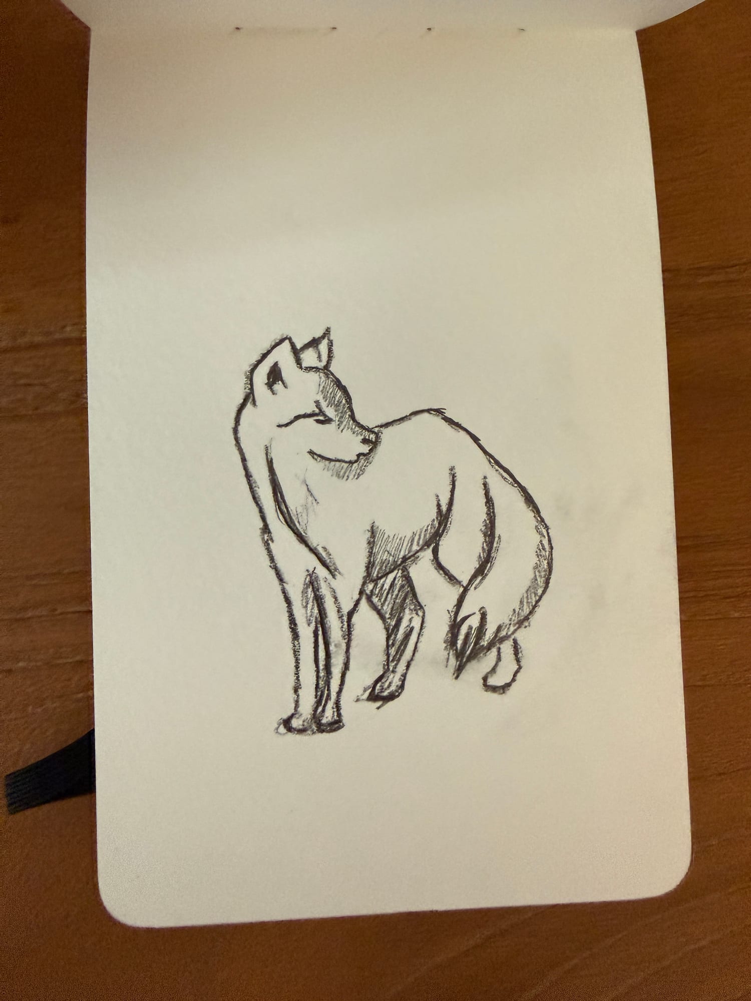 Pencil animals — sheet 34
