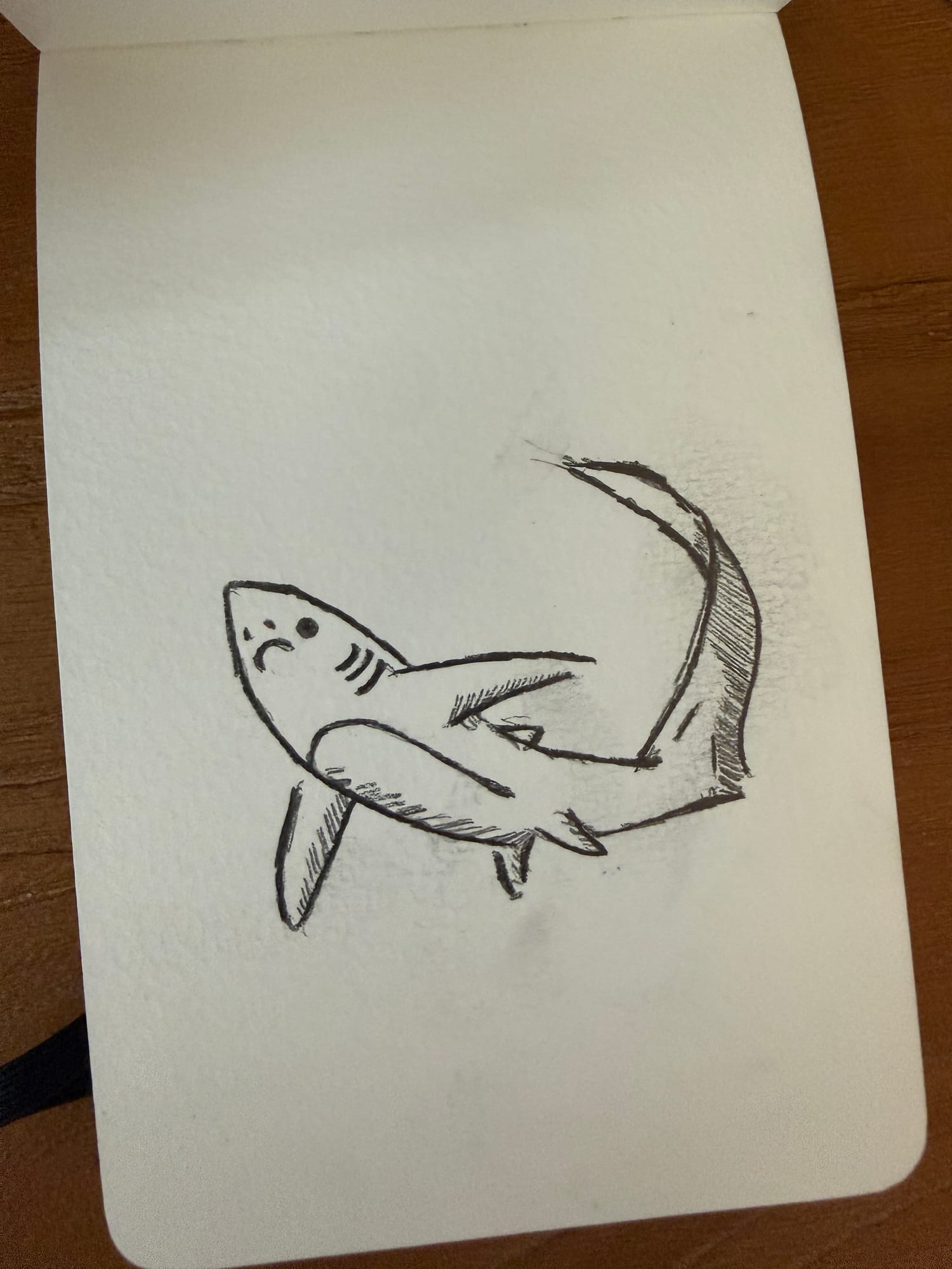 Pencil animals — sheet 35