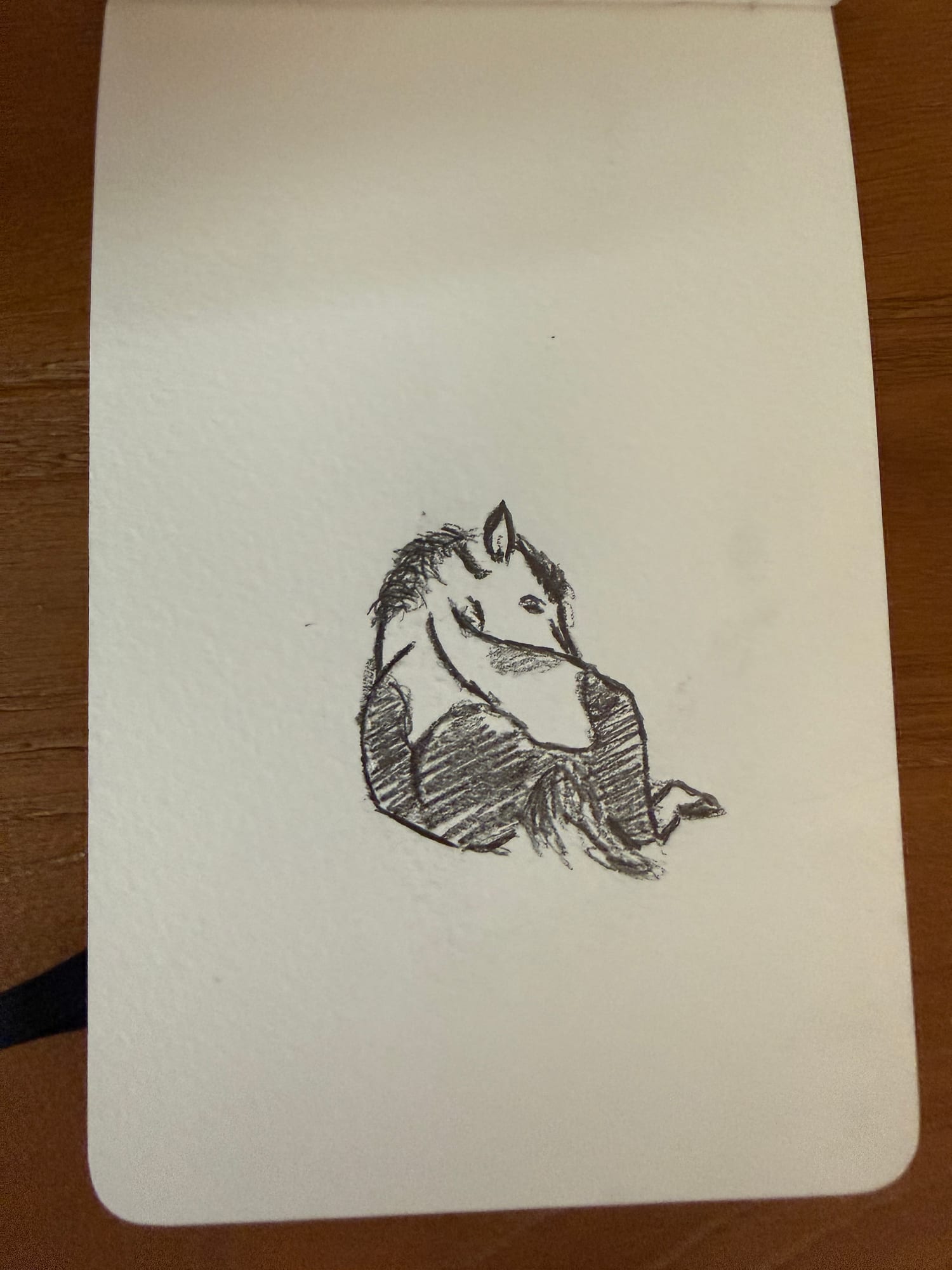 Pencil animals — sheet 36
