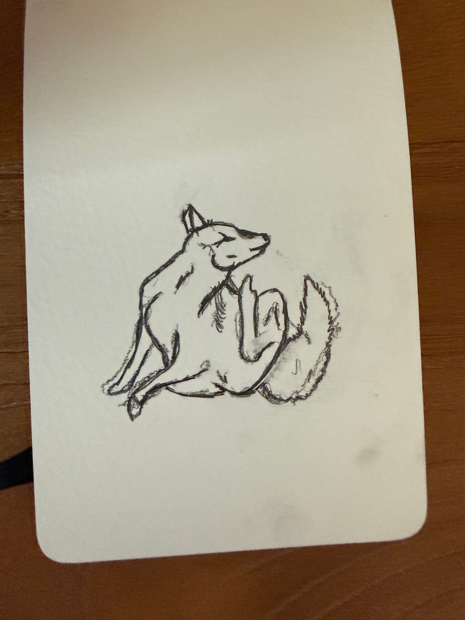 Pencil animals — sheet 37