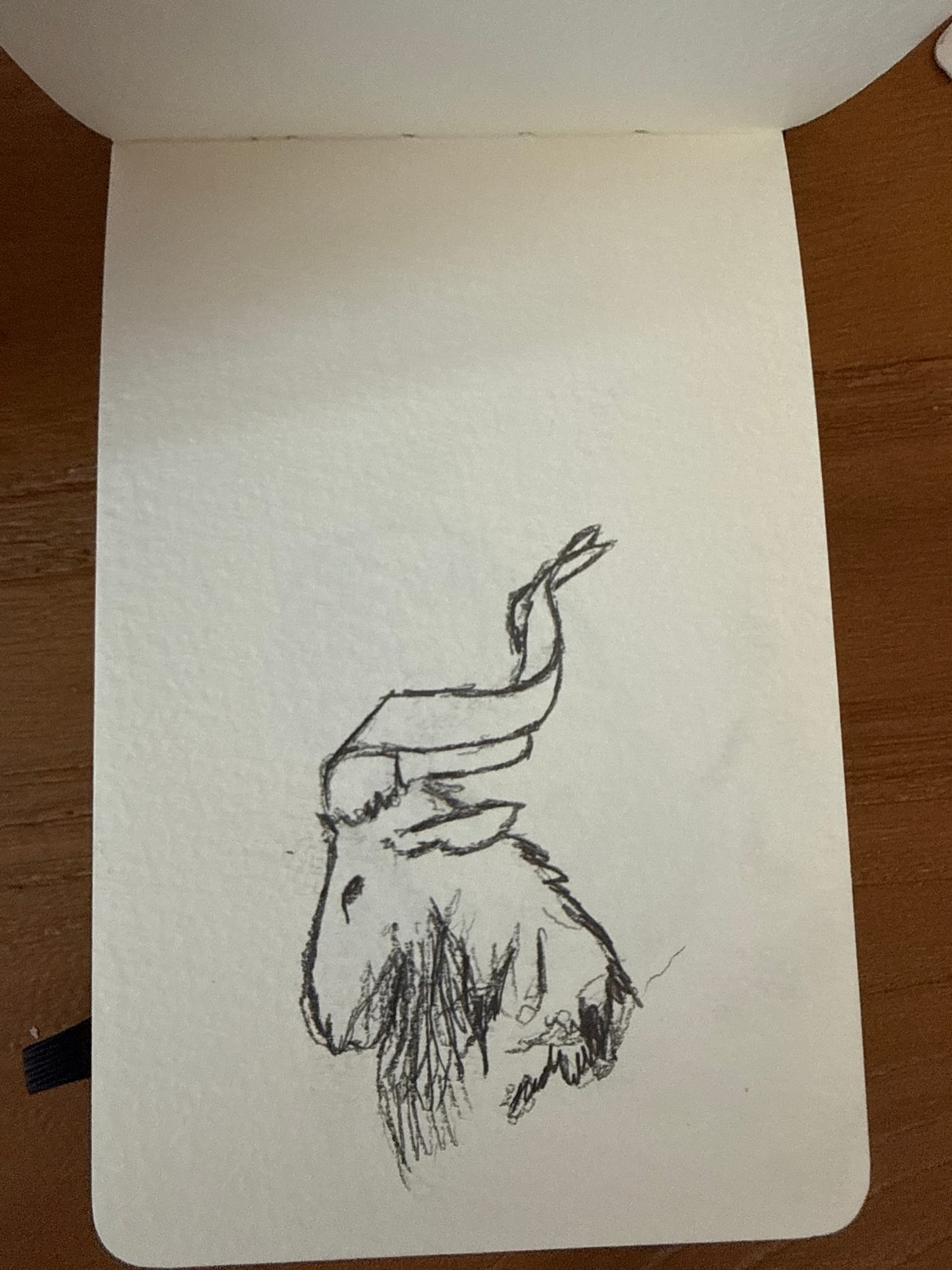 Pencil animals — sheet 39